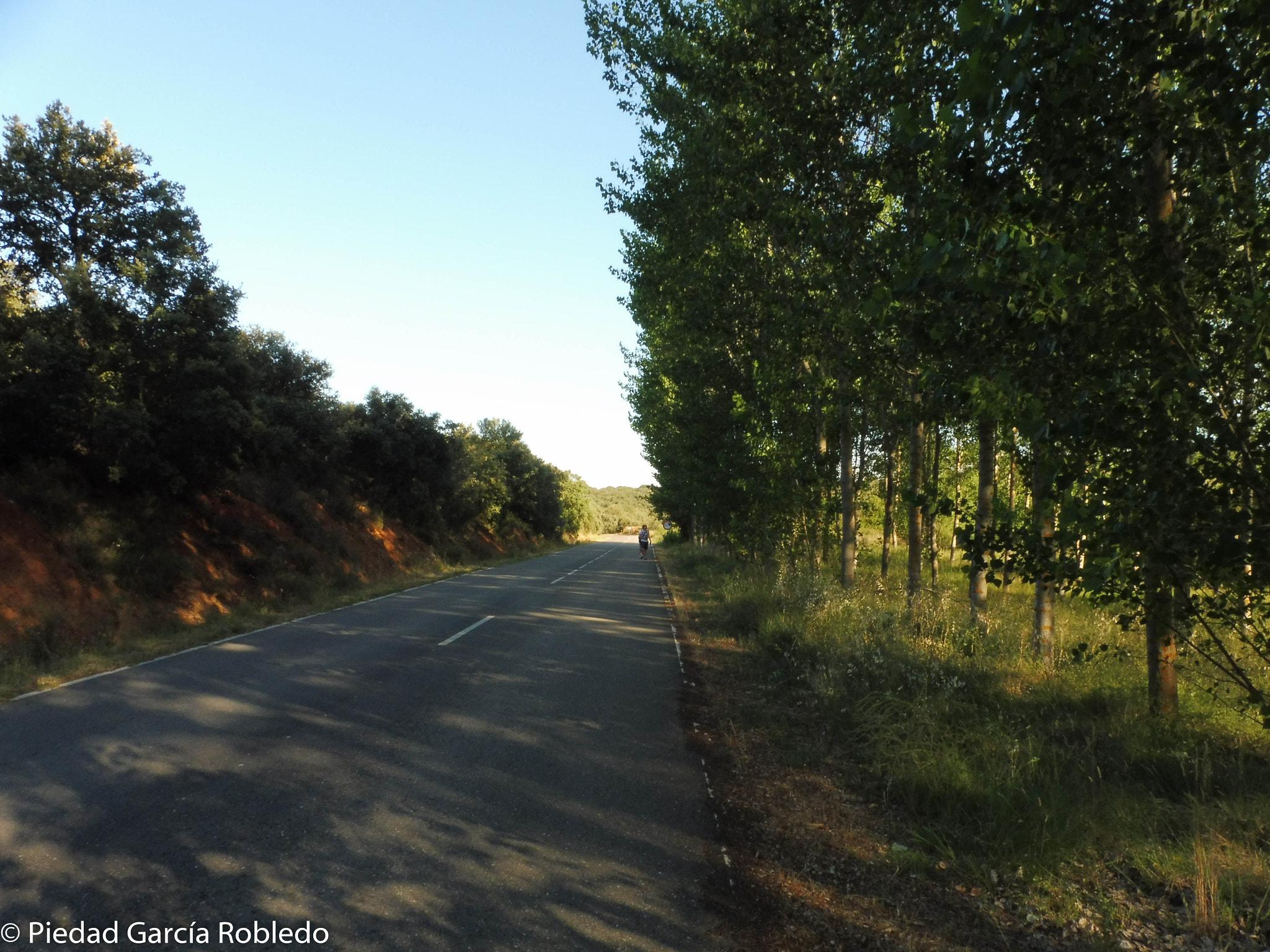 Panasonic Lumix DMC-ZS45 (Lumix DMC-TZ57) sample photo. Road photography
