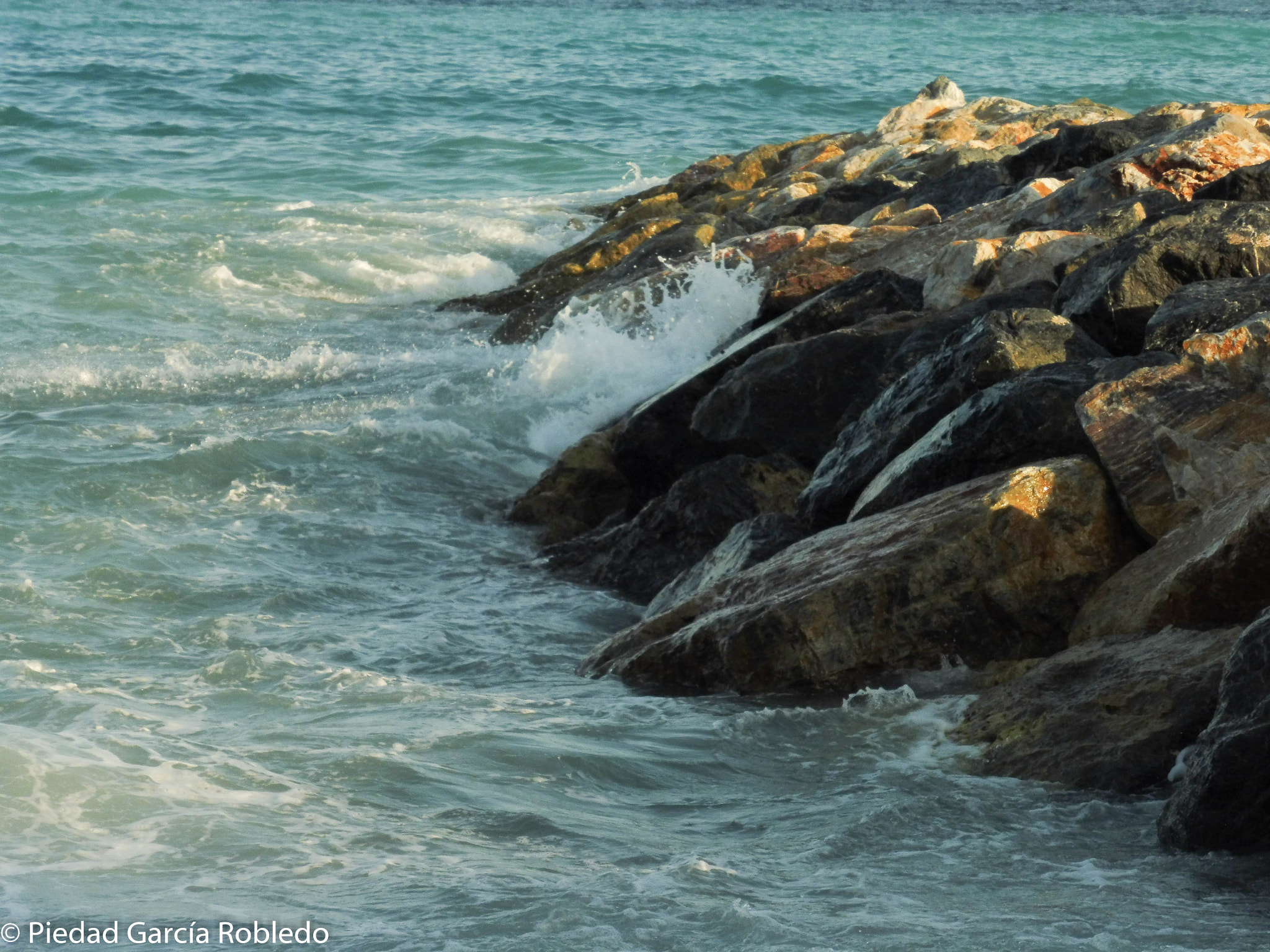 Panasonic Lumix DMC-ZS45 (Lumix DMC-TZ57) sample photo. Sea photography