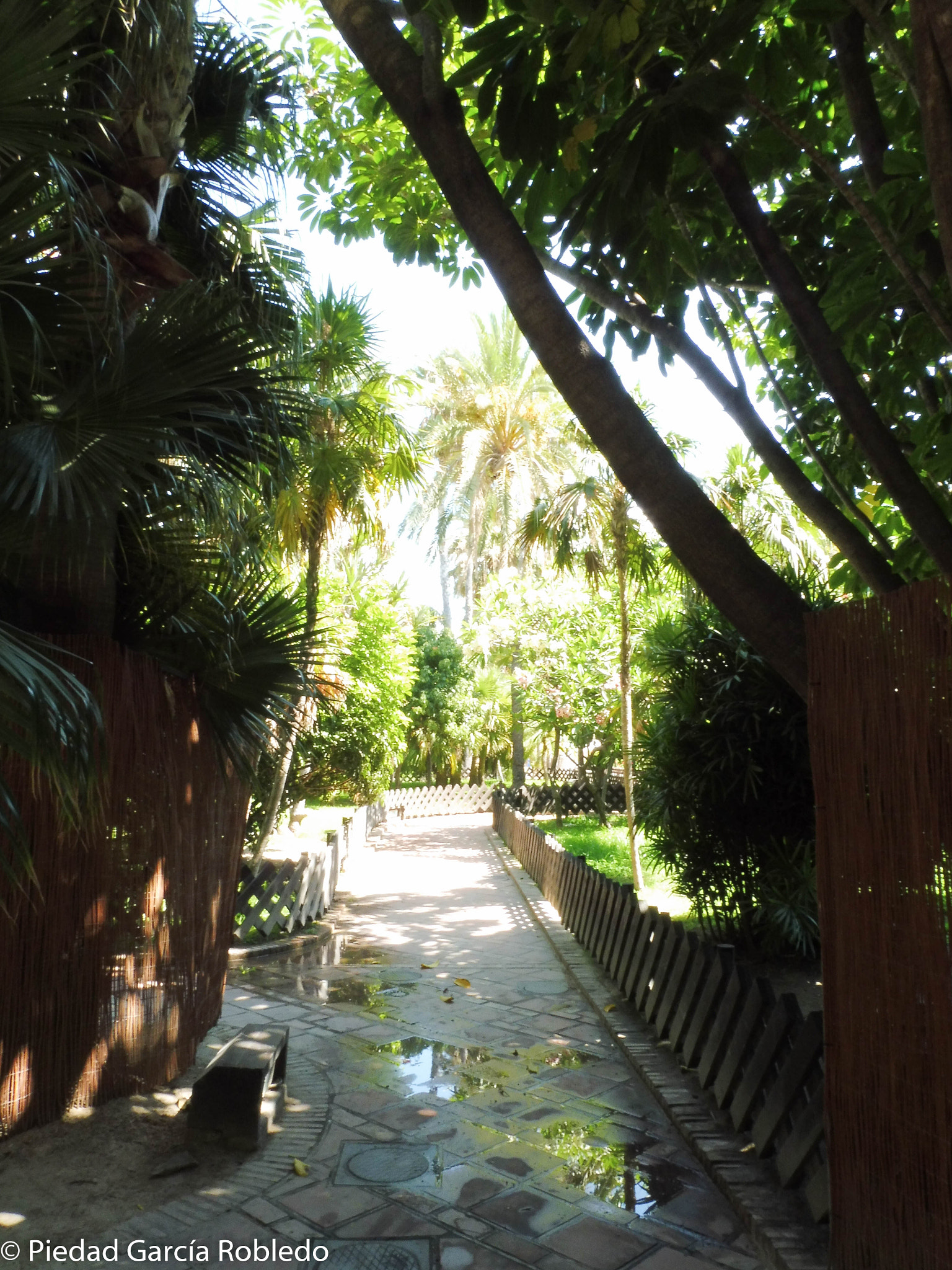 Panasonic Lumix DMC-ZS45 (Lumix DMC-TZ57) sample photo. Park photography