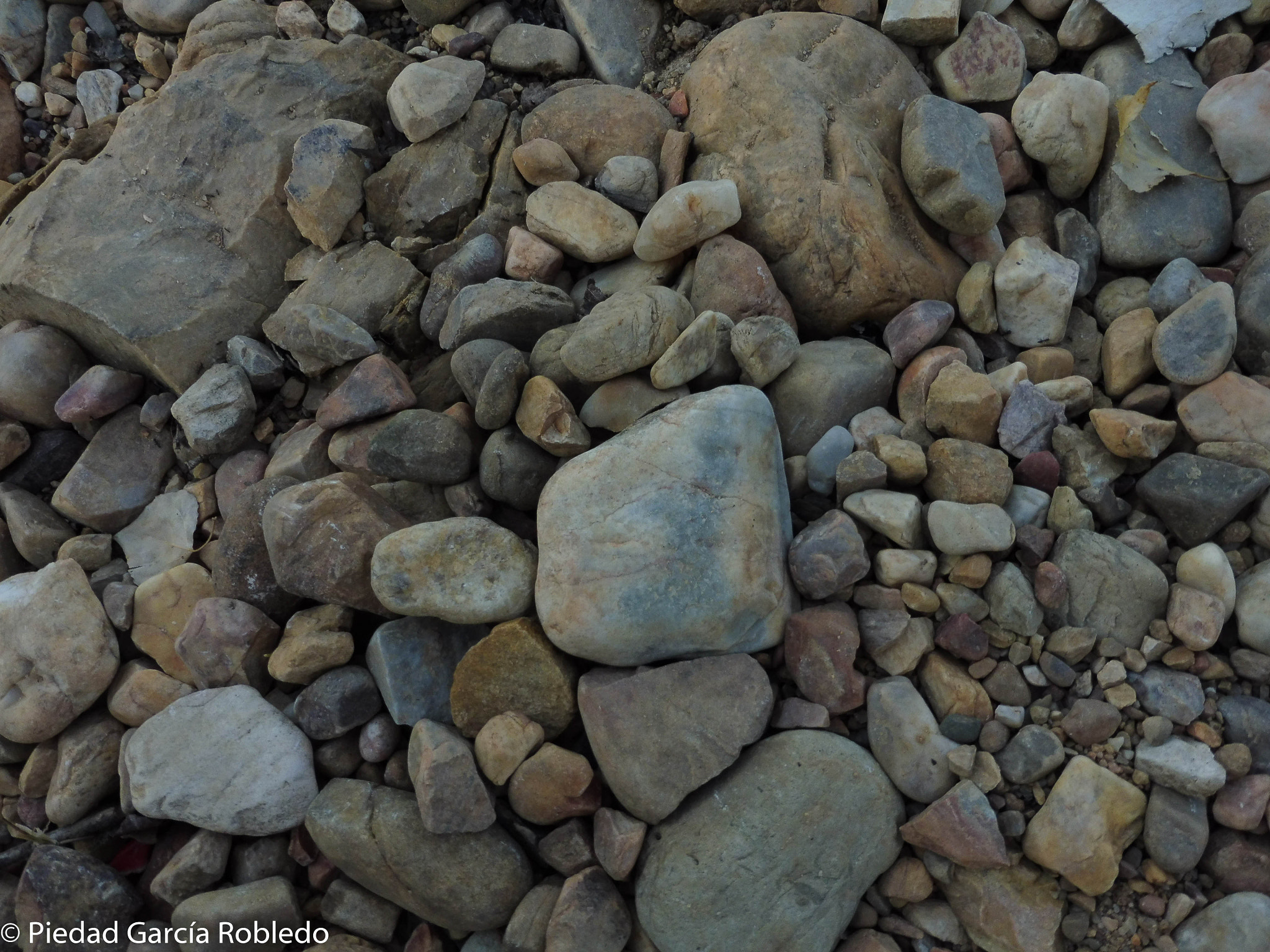 Panasonic Lumix DMC-ZS45 (Lumix DMC-TZ57) sample photo. Stones photography