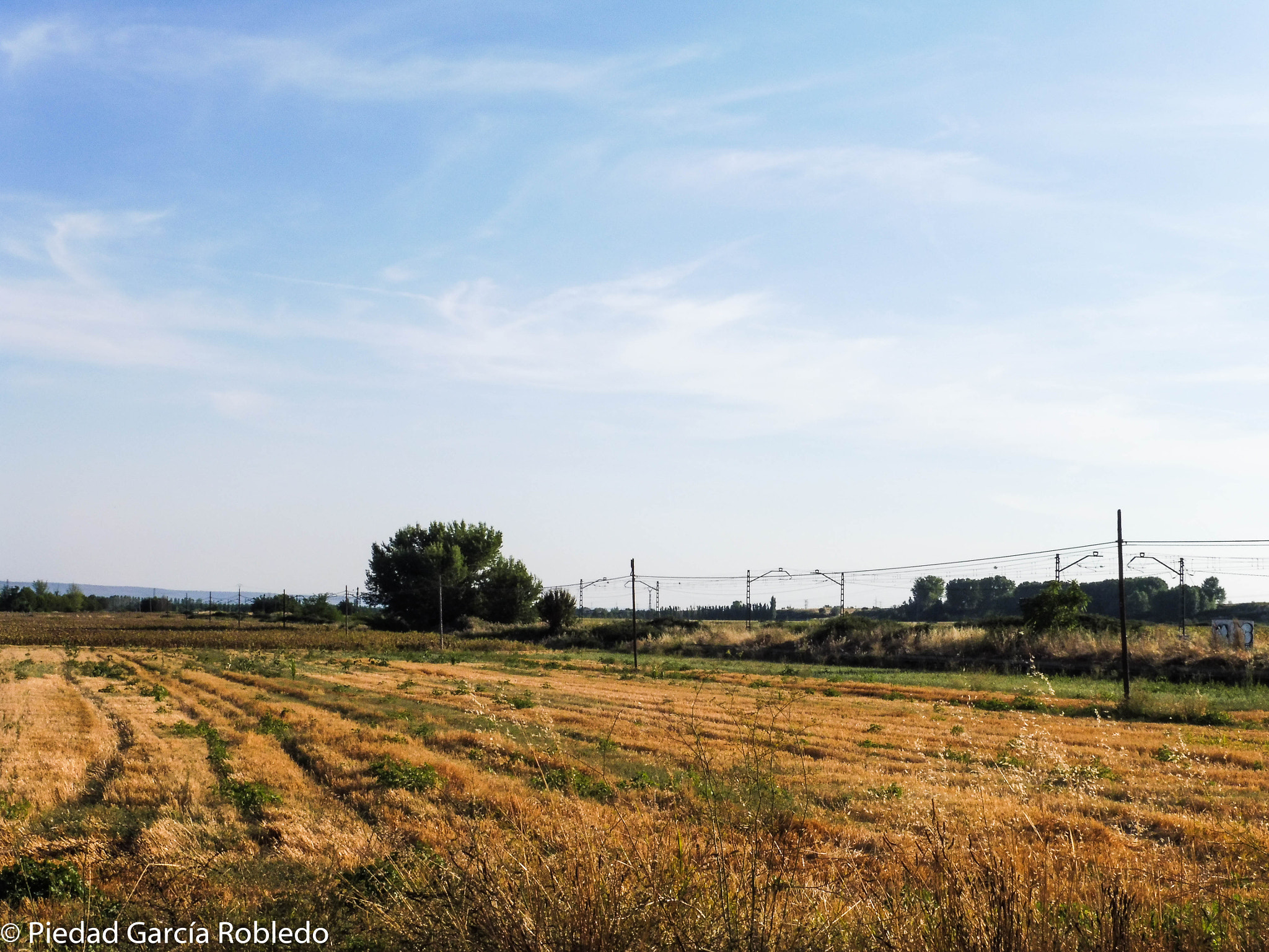 Panasonic Lumix DMC-ZS45 (Lumix DMC-TZ57) sample photo. Train photography
