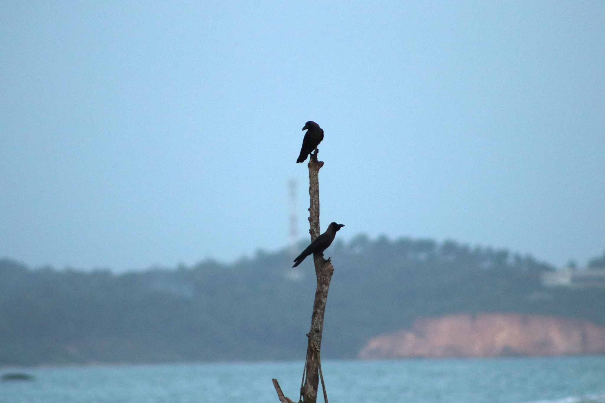 Canon EOS 80D + EF75-300mm f/4-5.6 sample photo. Sea view sri lanka photography