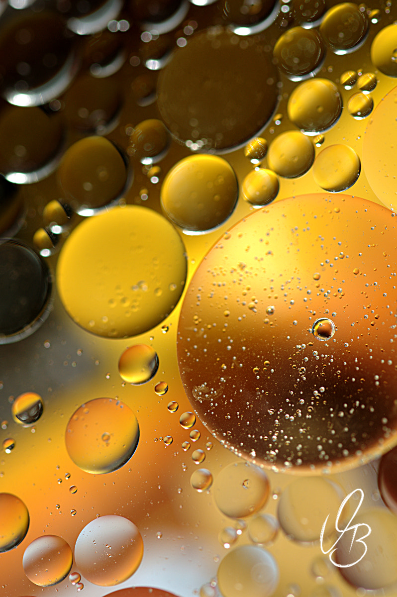 Sigma 105mm F2.8 EX DG OS HSM sample photo. Golden liquid #1 photography