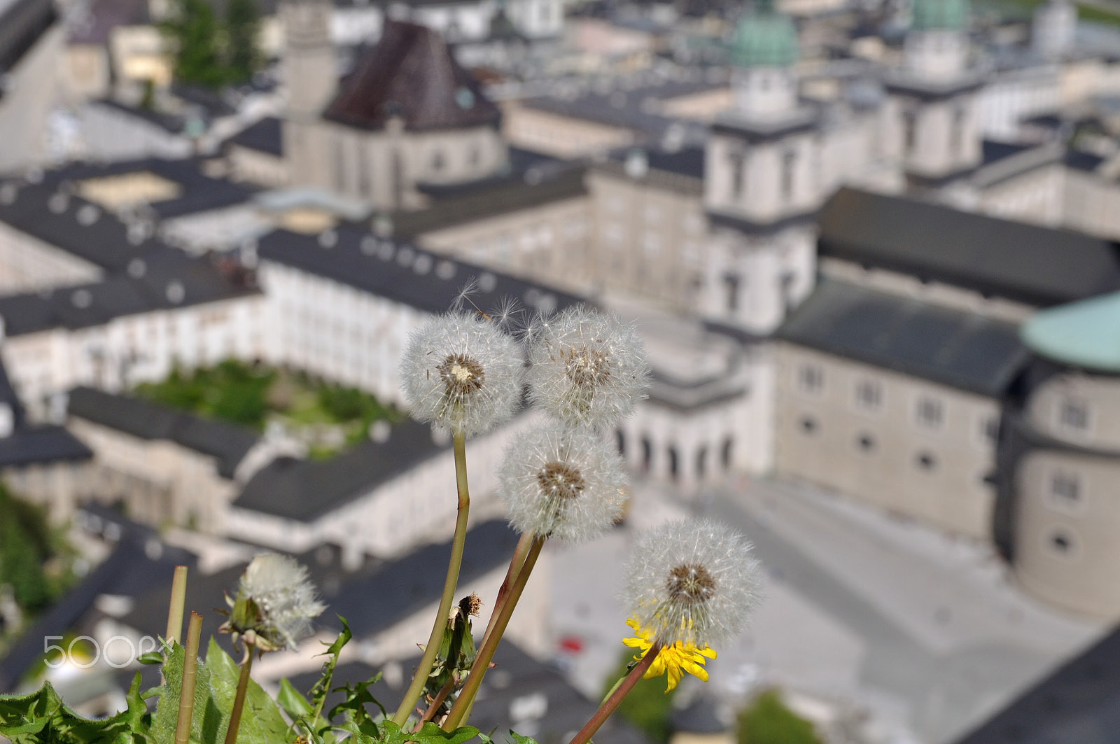Sigma 17-50mm F2.8 EX DC OS HSM sample photo. Salzburg photography