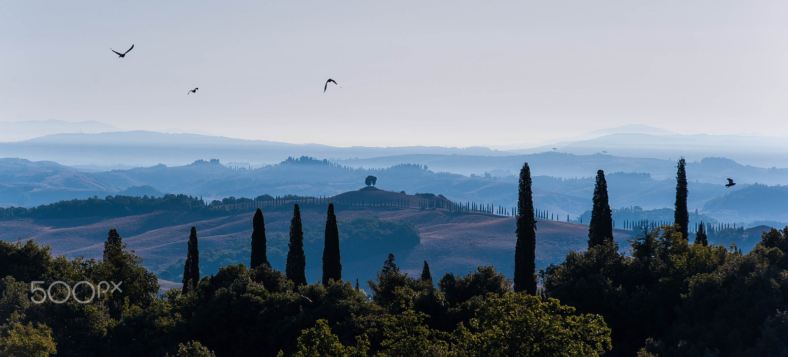 Nikon D3 sample photo. ()tuscany morning photography
