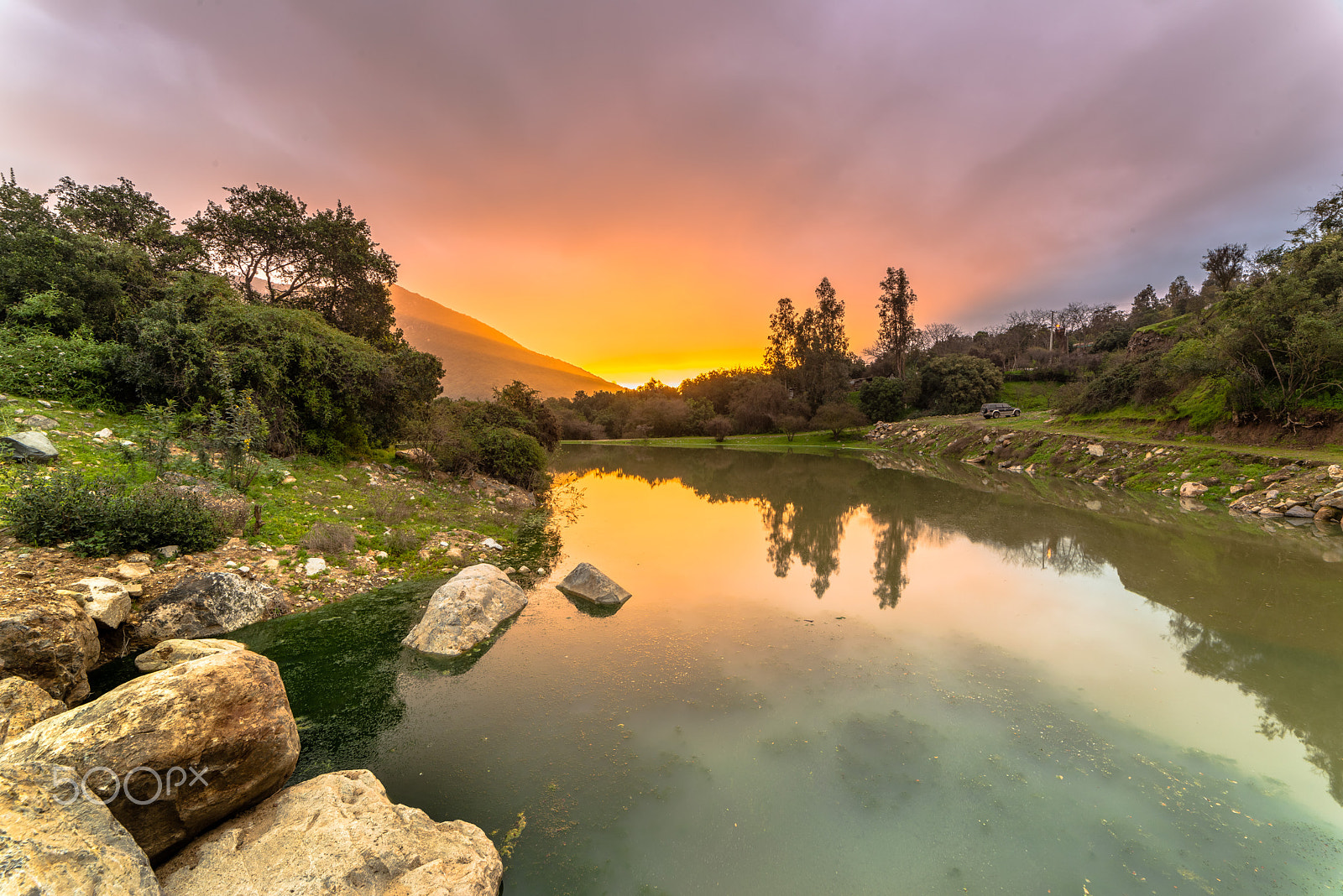 Samyang 14mm F2.8 ED AS IF UMC sample photo. Nature photography