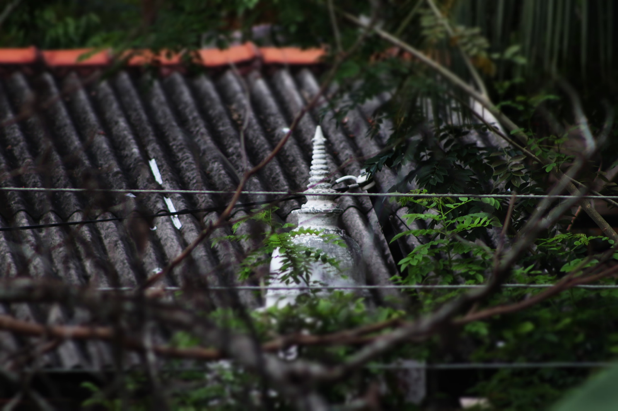 Canon EOS 80D + EF75-300mm f/4-5.6 sample photo. Temple (home) weligama sri lanka photography