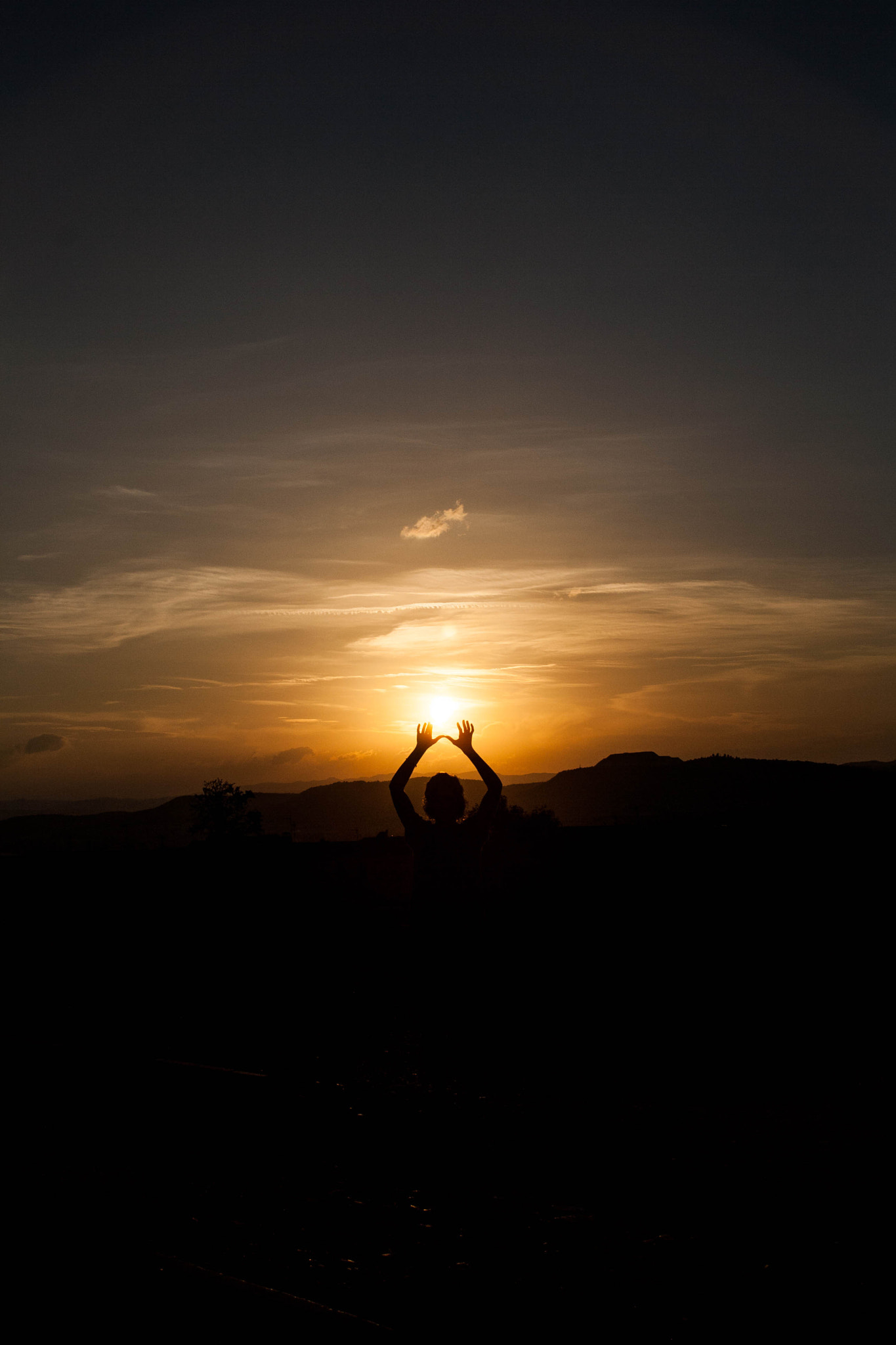 Canon EOS 1000D (EOS Digital Rebel XS / EOS Kiss F) sample photo. •sunset silhouette• photography