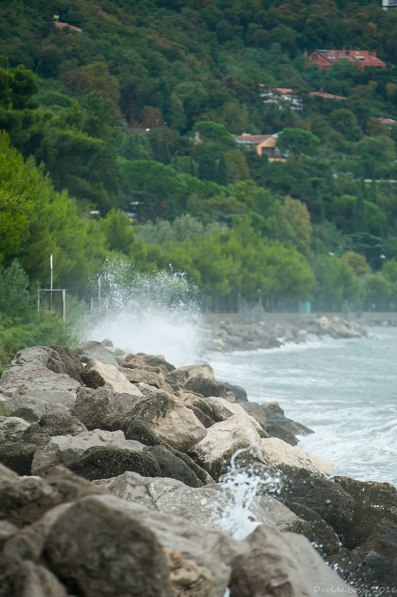 Nikon D700 + Sigma APO 100-300mm F4 EX IF HSM sample photo. Pioggia sabato settembre photography