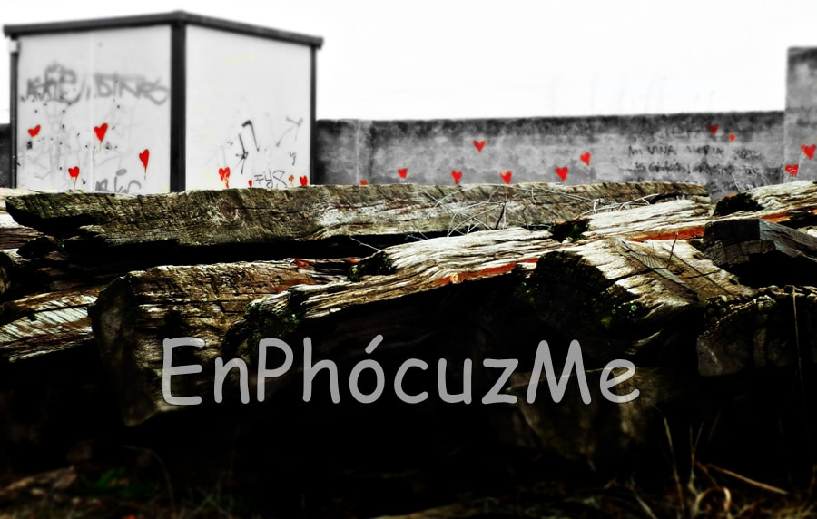 Olympus SH-25MR sample photo. Corazones rojos. red hearts photography