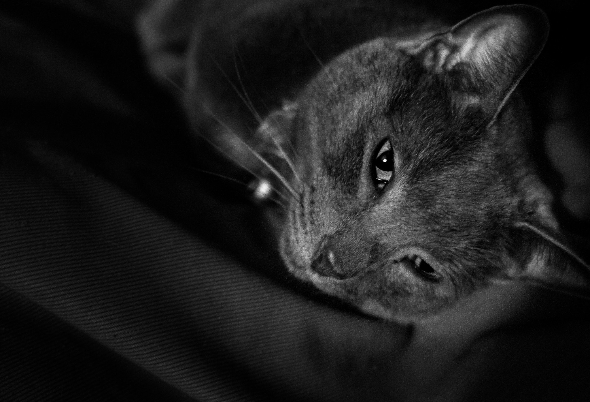 Sigma 24-70mm F2.8 EX DG HSM sample photo. Luis photography