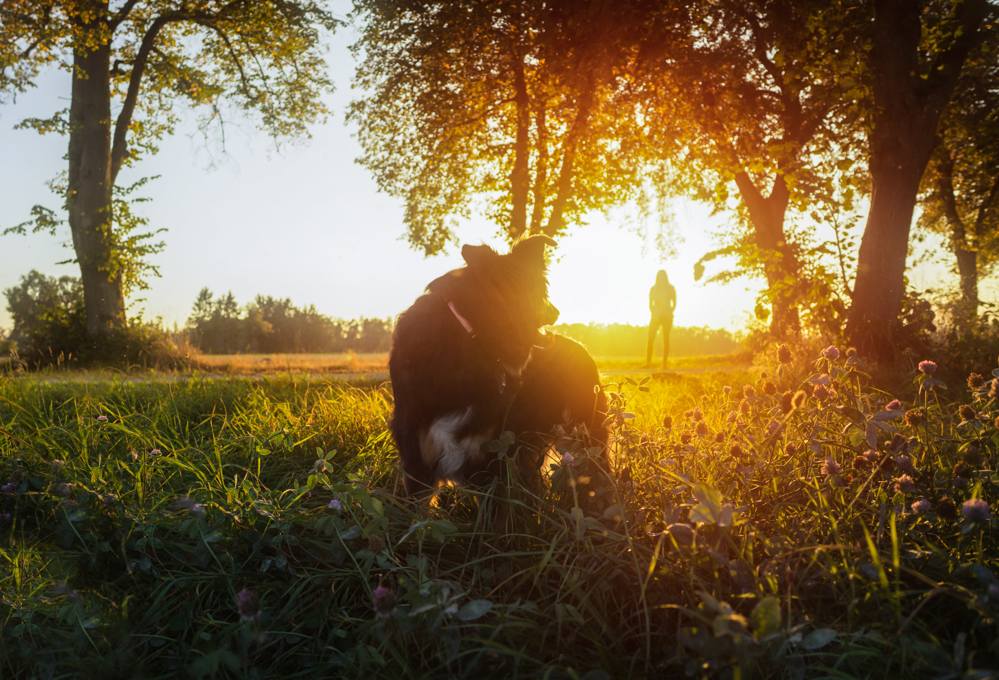 Sony a7R + E 18mm F2.8 sample photo. Goodbye... photography