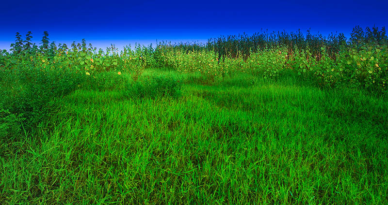 Nikon D3 sample photo. Aabb photography