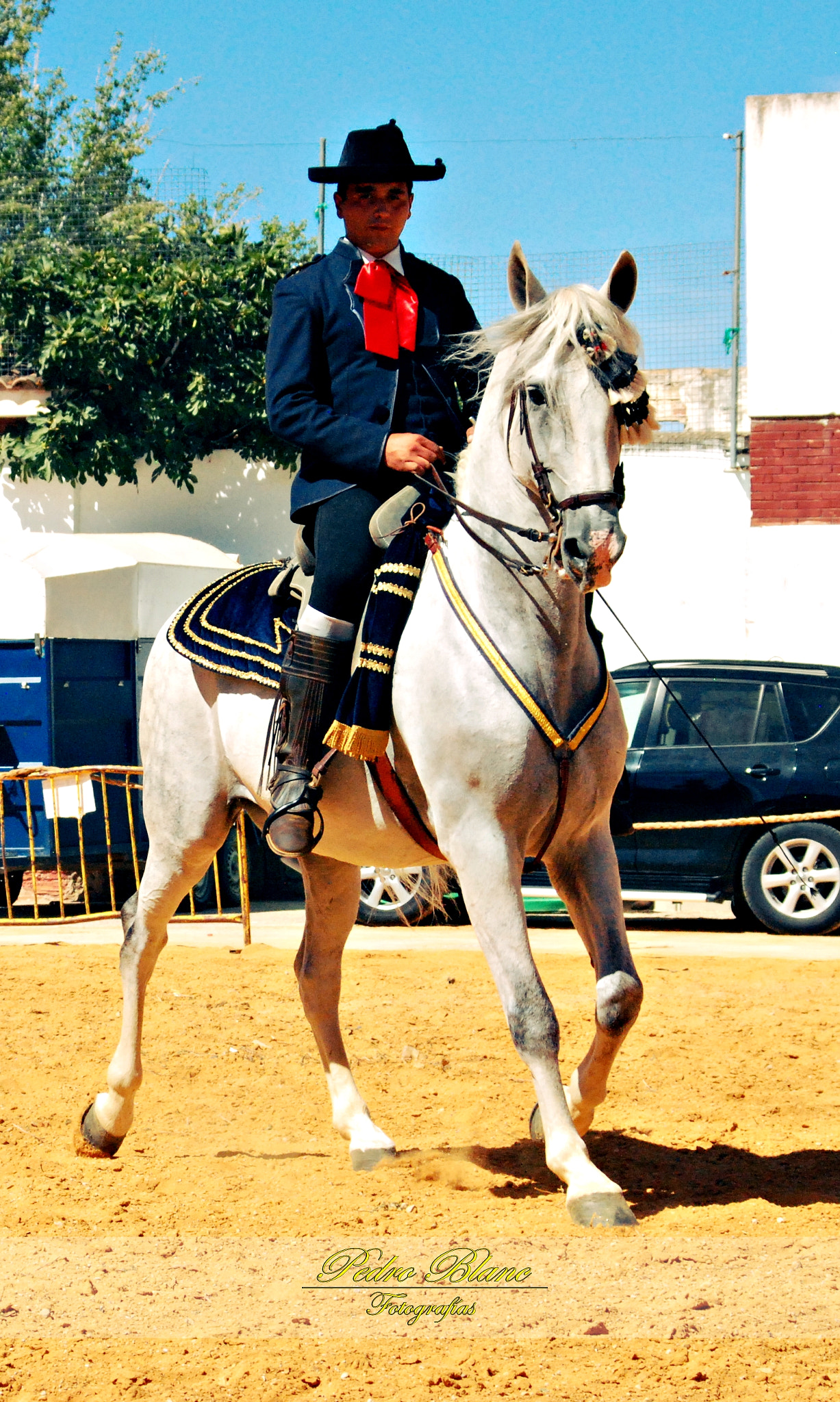 AF Zoom-Nikkor 28-80mm f/3.3-5.6G sample photo. Exhibicion ecuestre feria y fiestas photography