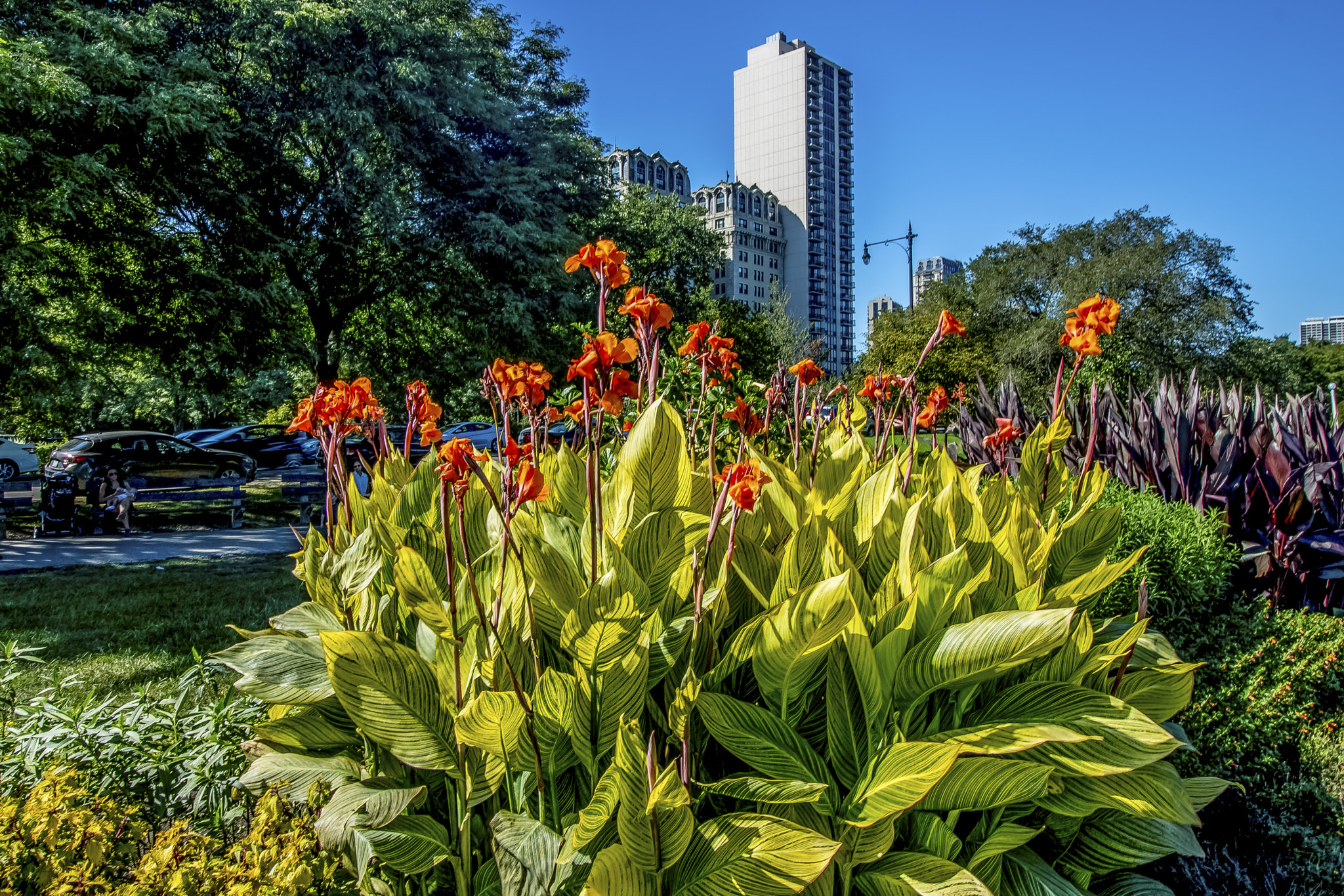 Canon EOS 760D (EOS Rebel T6s / EOS 8000D) sample photo. Lincoln park in chicago il usa photography