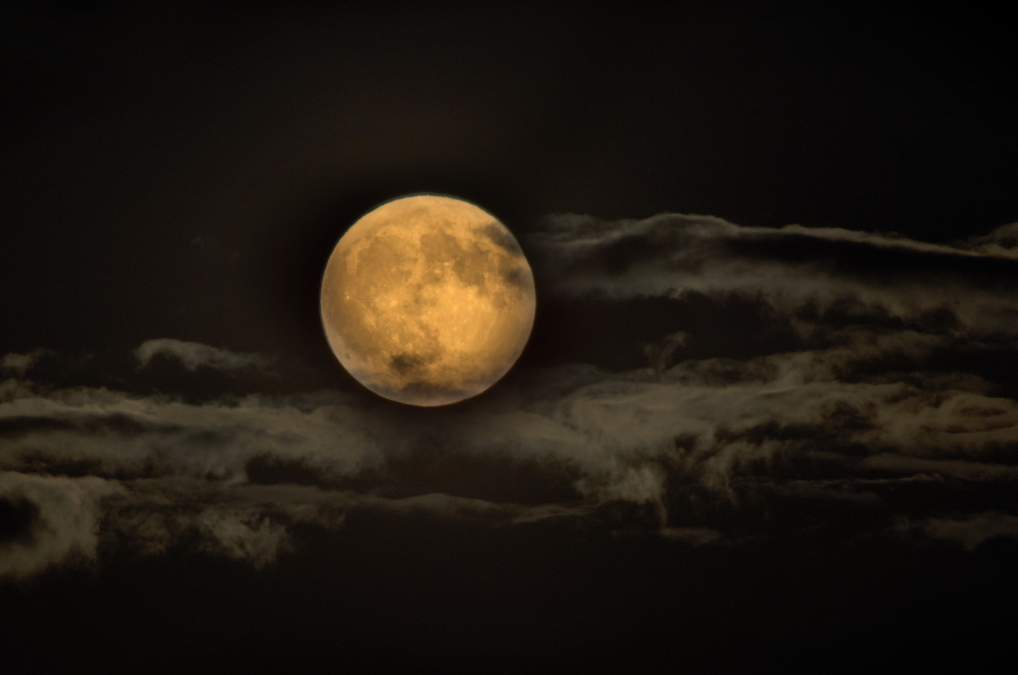 smc PENTAX-DA L 55-300mm F4-5.8 ED sample photo. "bad moon rising" photography