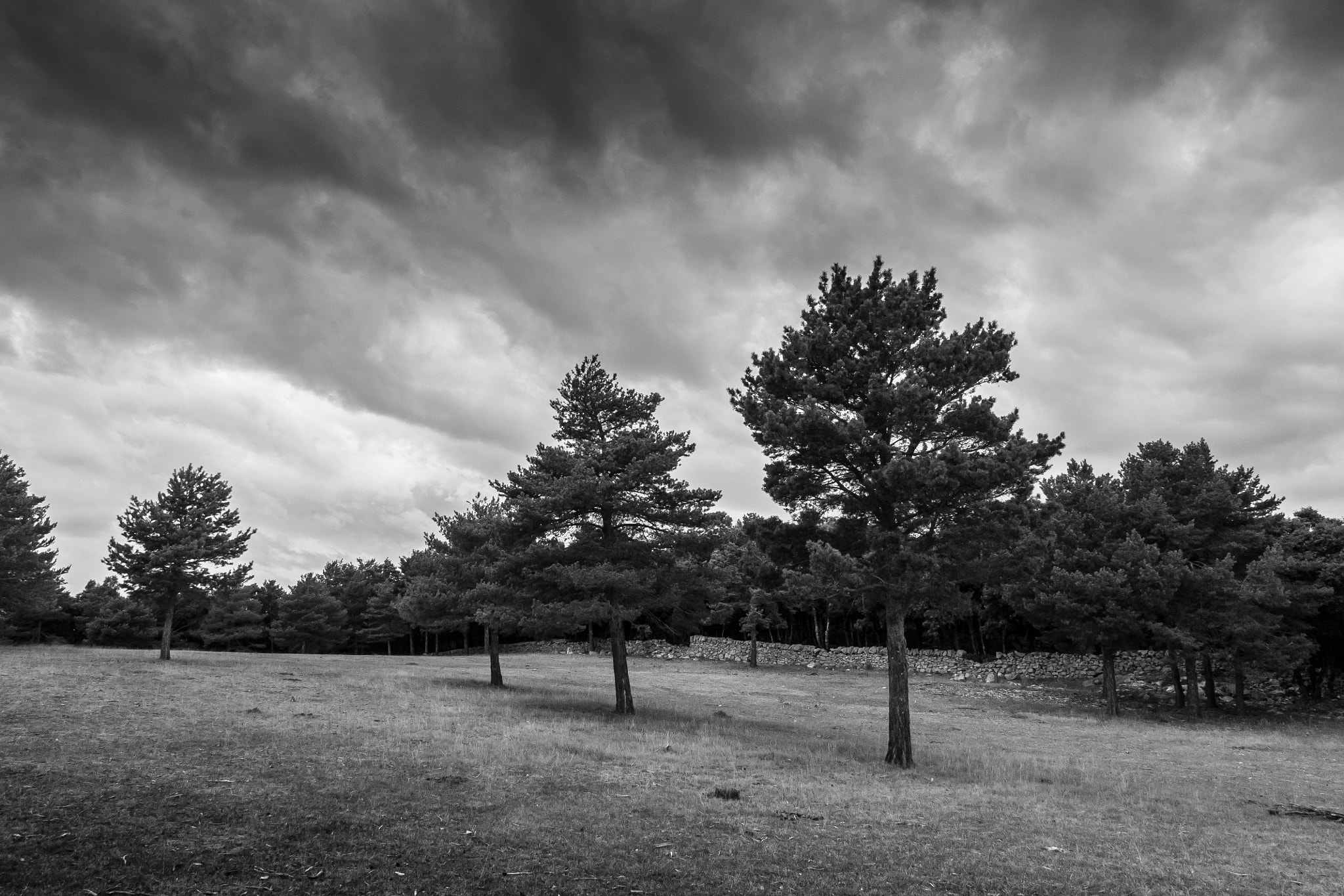 Canon EOS 450D (EOS Rebel XSi / EOS Kiss X2) sample photo. Dramatic sky photography