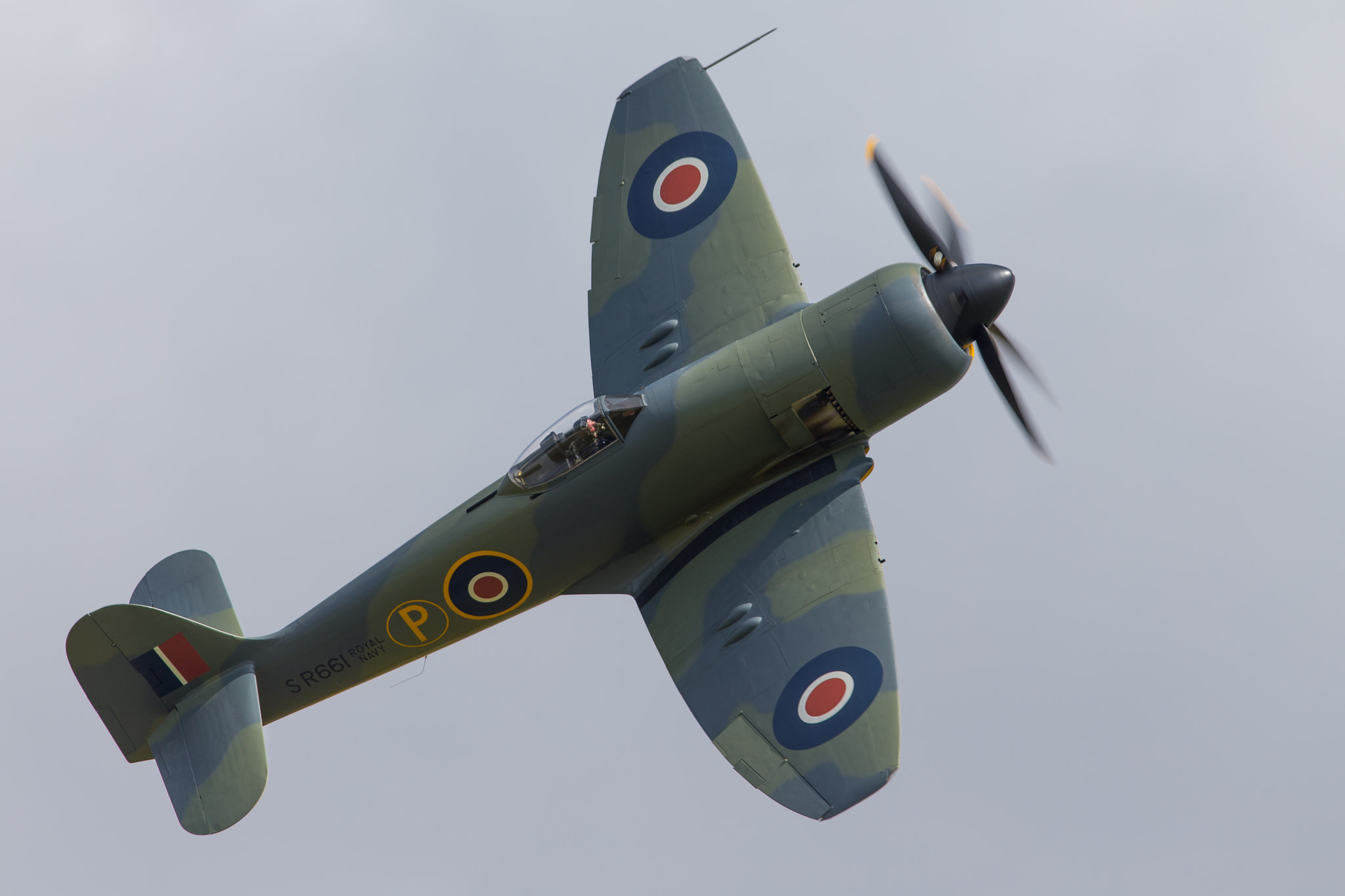 Canon EF 200-400mm F4L IS USM Extender 1.4x sample photo. Hawker fury fb.ii photography