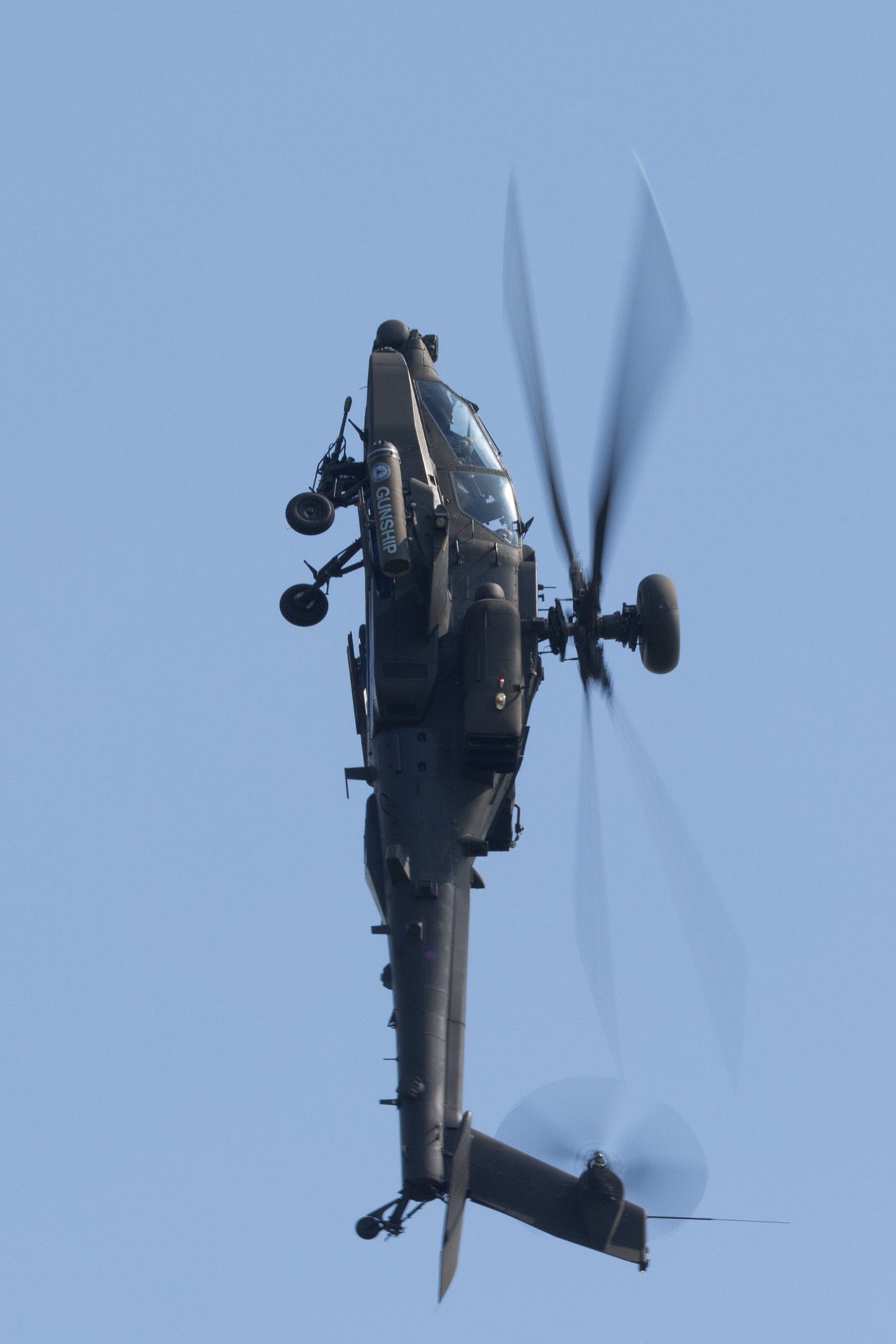 Canon EF 200-400mm F4L IS USM Extender 1.4x sample photo. Apache photography