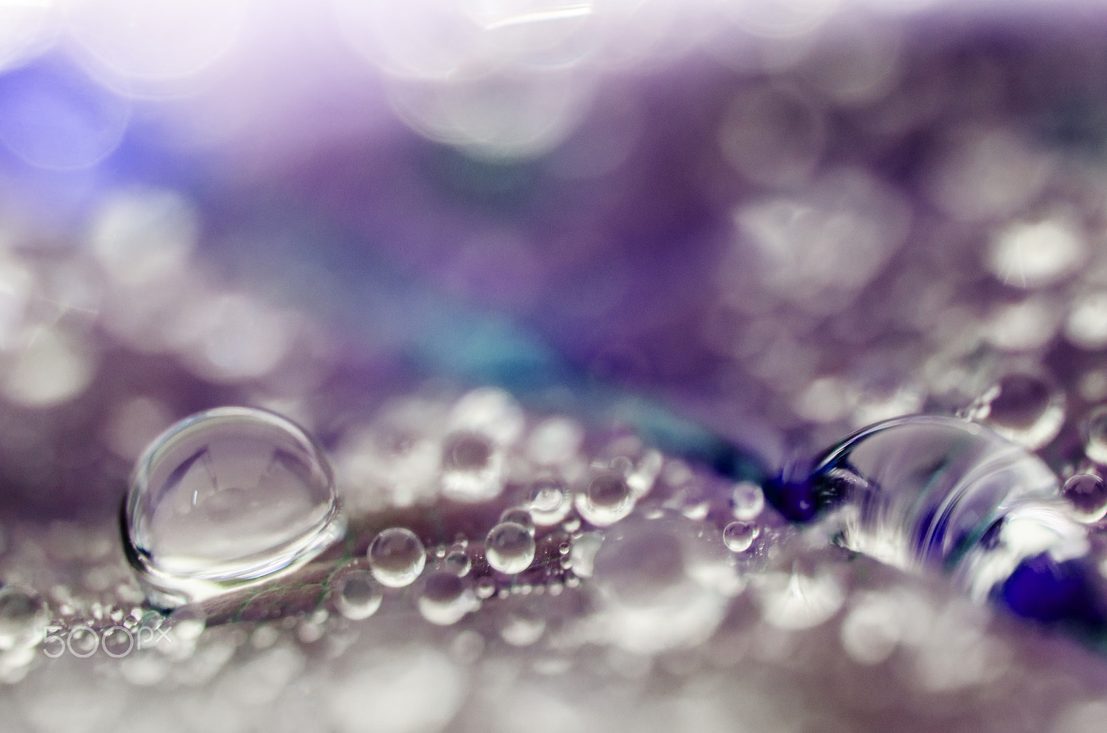 Nikon AF-S DX Micro-Nikkor 85mm F3.5G ED VR sample photo. Party drops photography