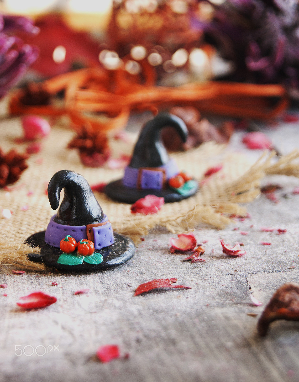 Sony Alpha DSLR-A380 sample photo. Decorative pumpkin for halloween with dried flowers photography