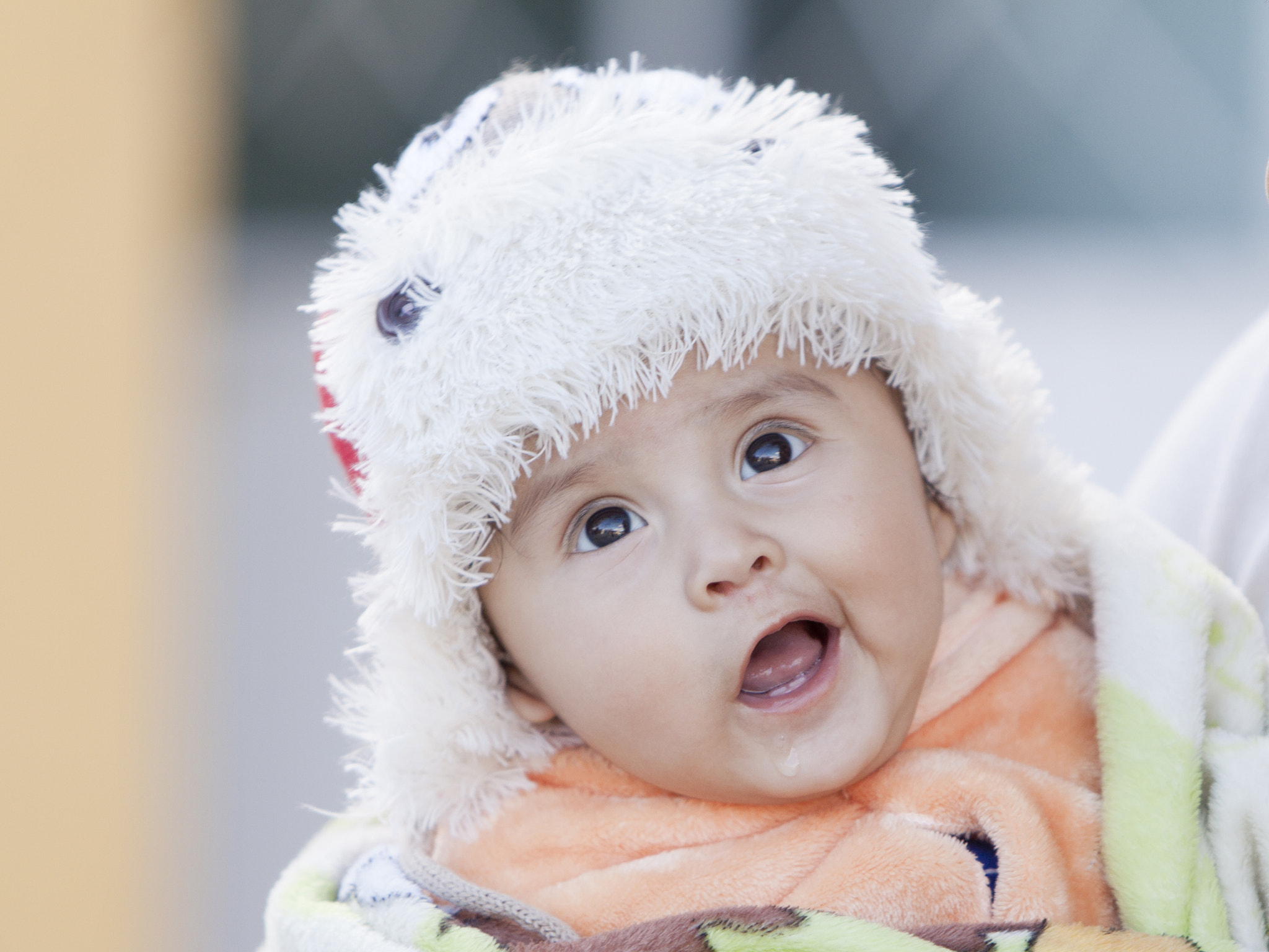 Canon EF 70-200mm F2.8L IS USM sample photo. Pure!!!!!!! photography