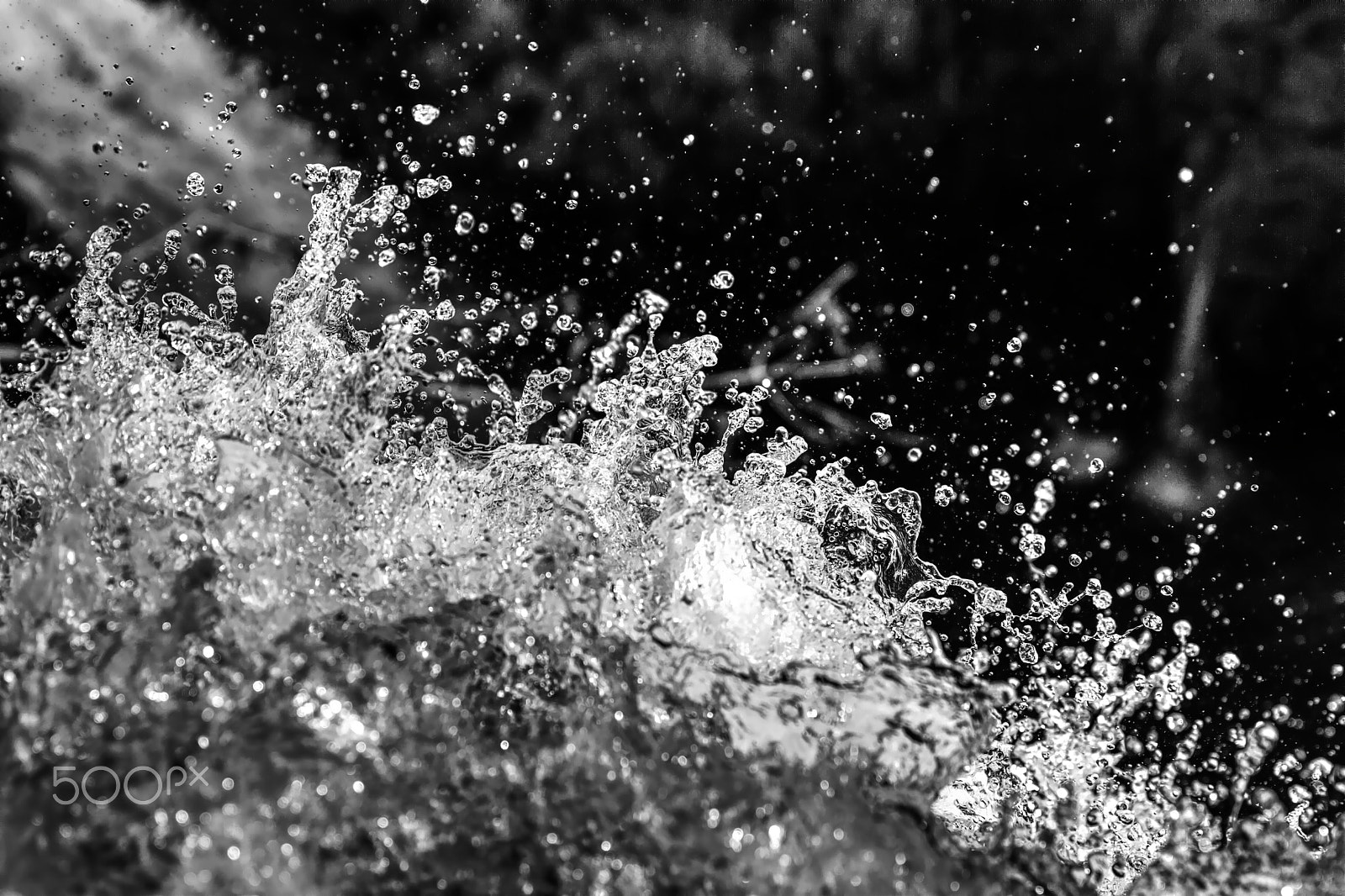 24.0 - 70.0 mm sample photo. Acqua photography