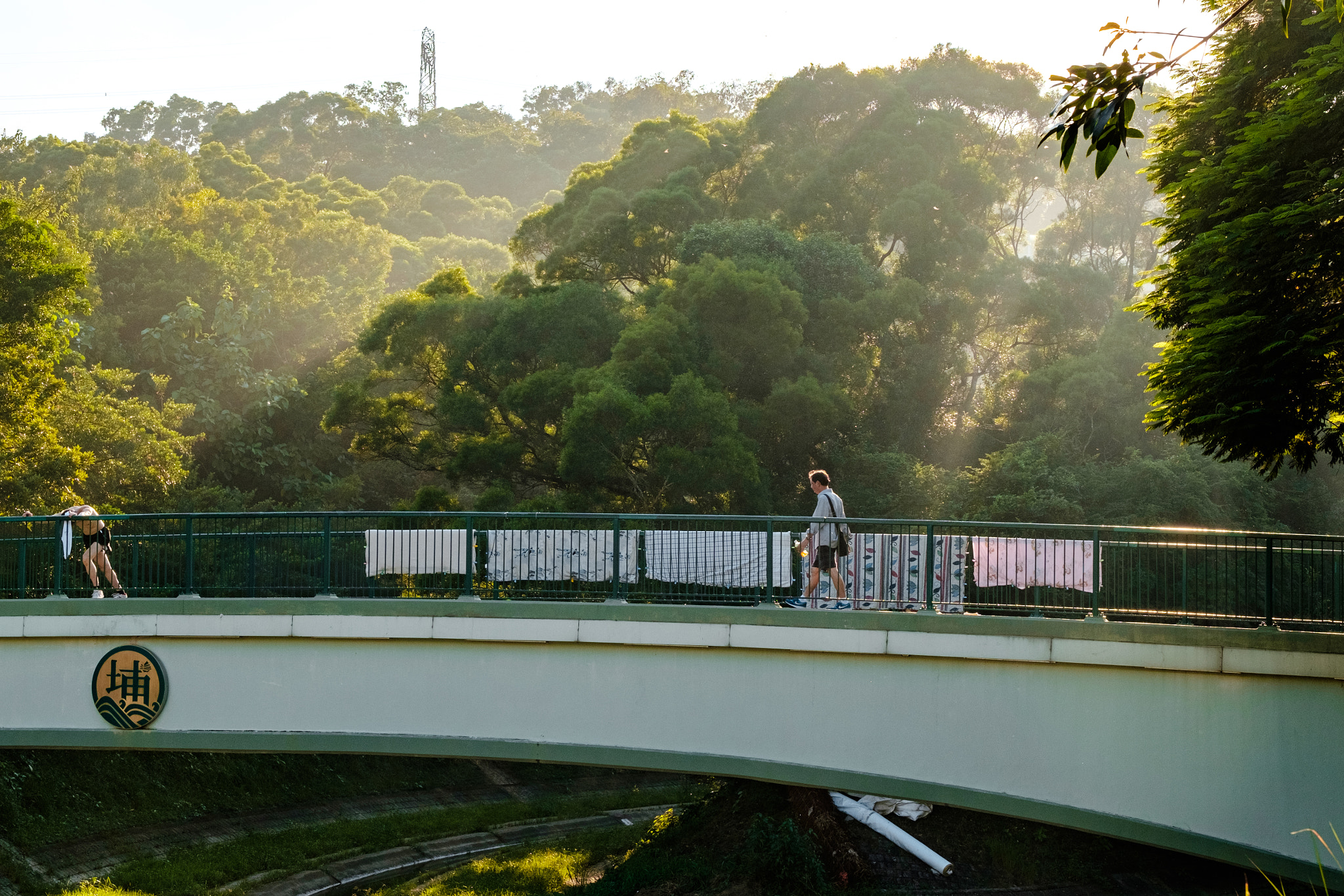 Fujifilm X-E2 + Fujifilm XF 50-140mm F2.8 R LM OIS WR sample photo. Nature - beauty photography