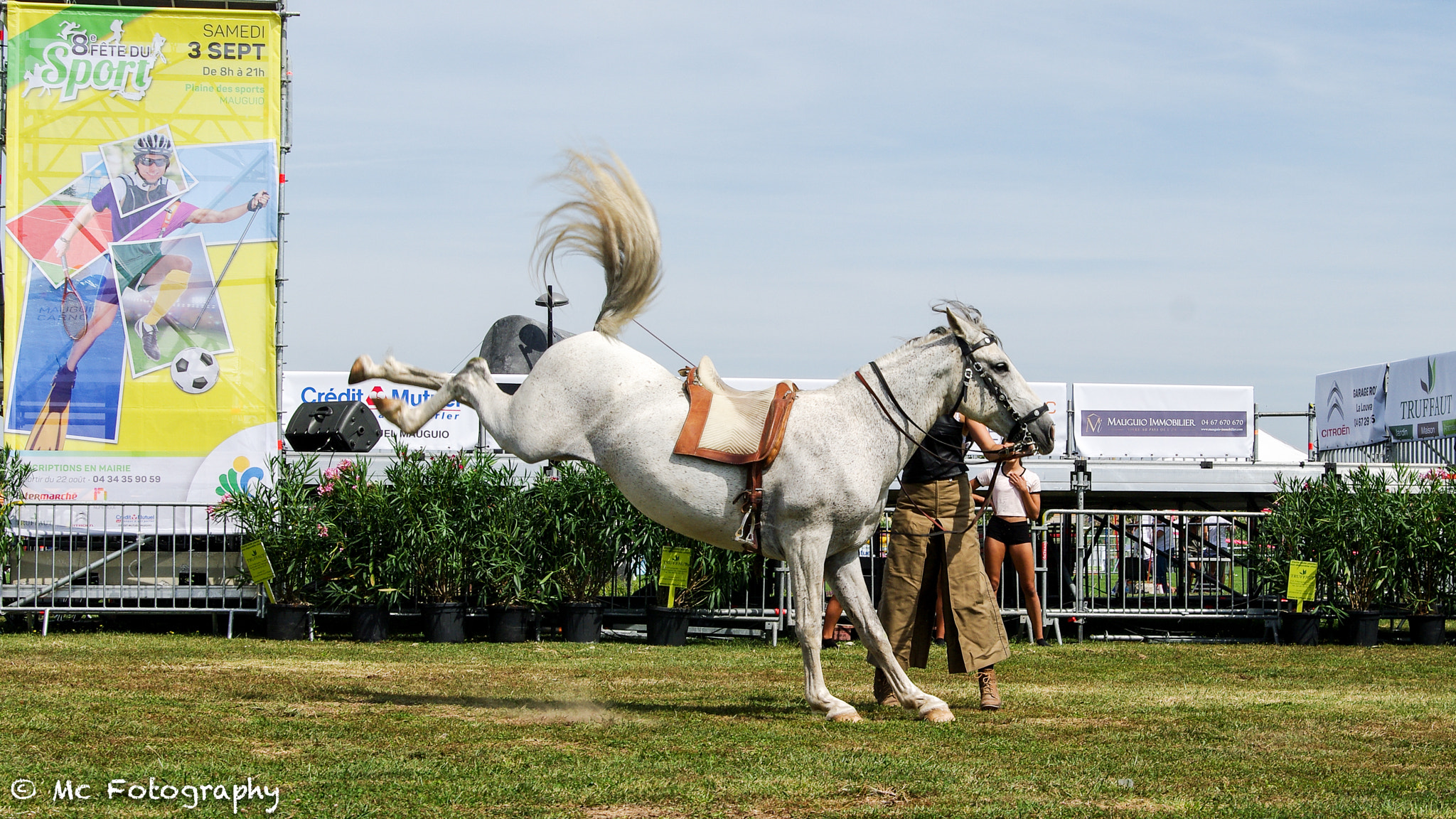Tamron AF 28-75mm F2.8 XR Di LD Aspherical (IF) sample photo. Cabre cheval photography