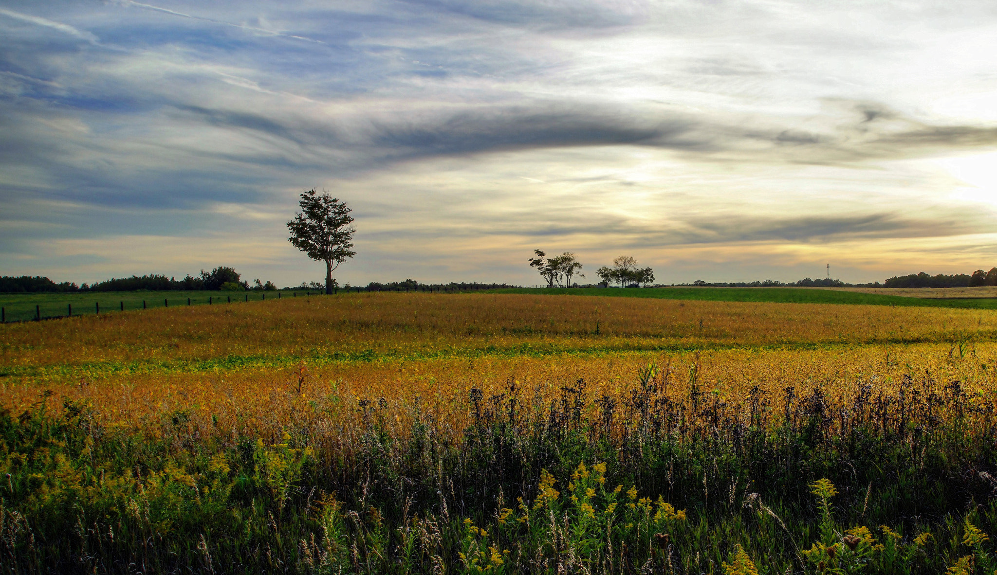 Sony a7 + Sony Vario Tessar T* FE 24-70mm F4 ZA OSS sample photo. Serene photography