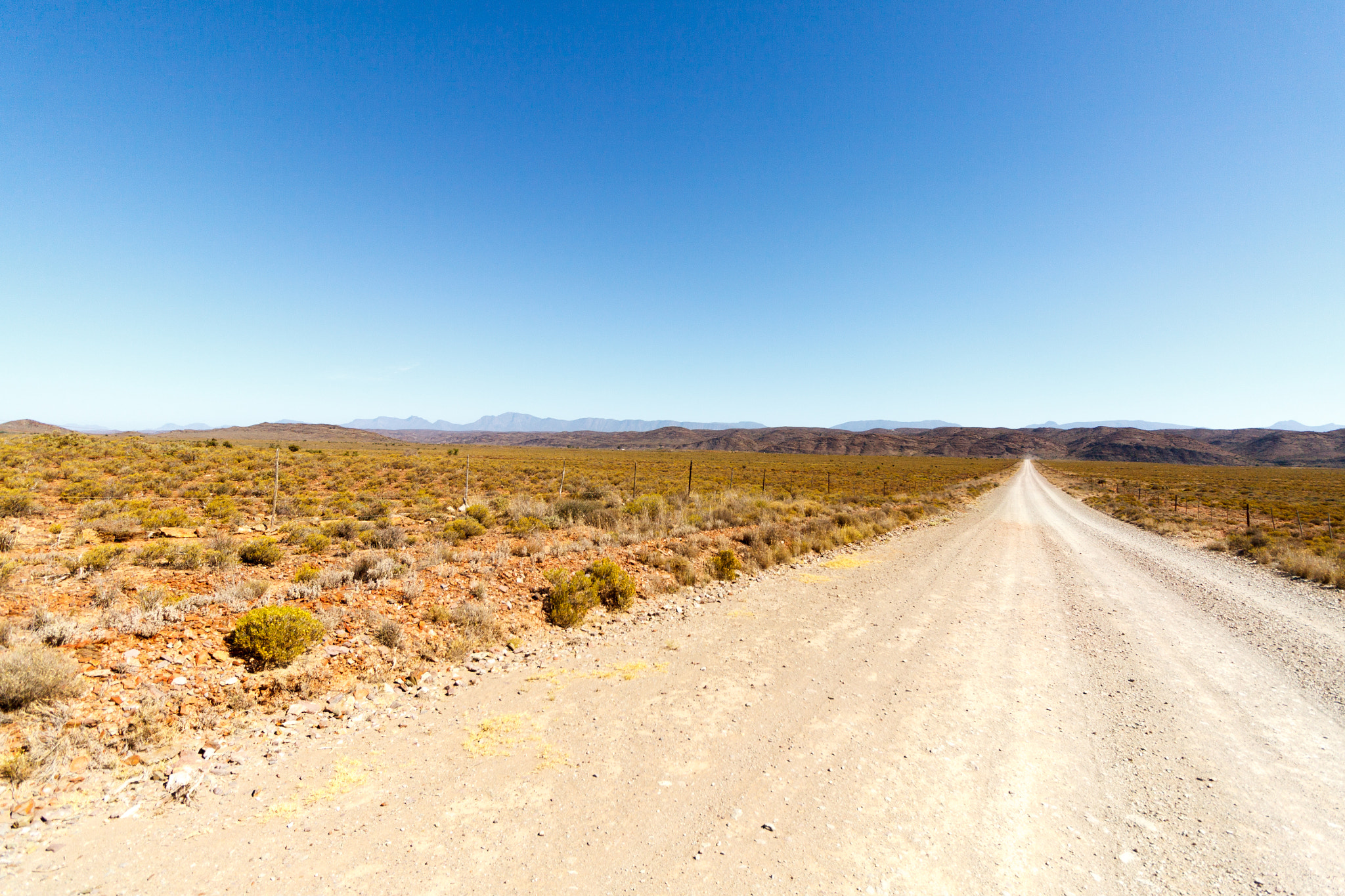 Canon EOS 50D sample photo. Dirt road leading to the end photography