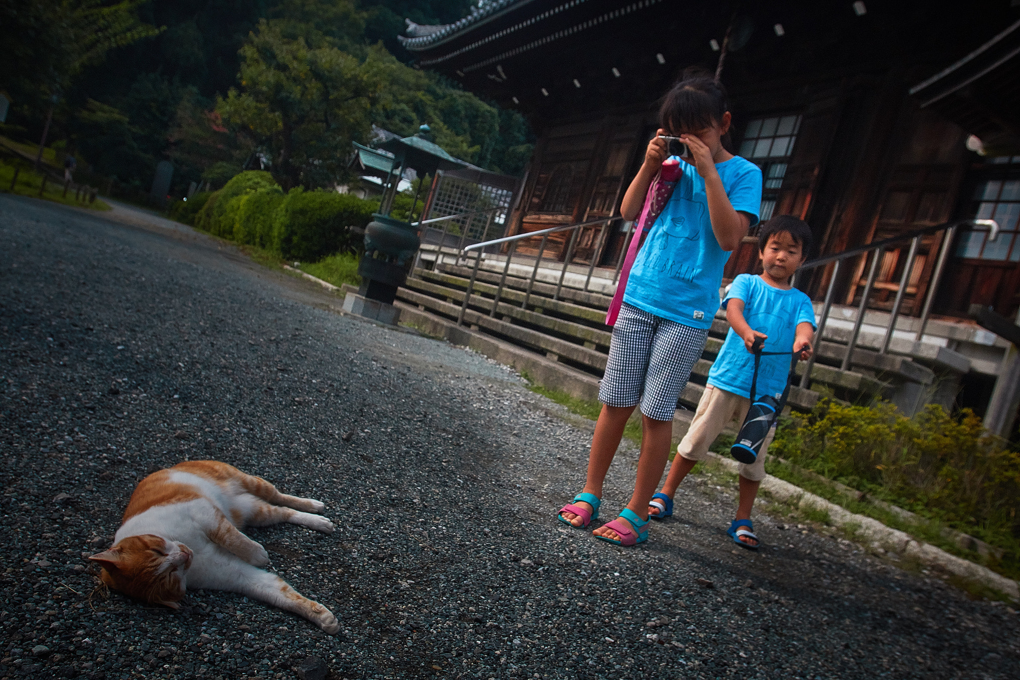 Canon EOS 70D + Canon EF 16-35mm F2.8L USM sample photo. Sleepy photography