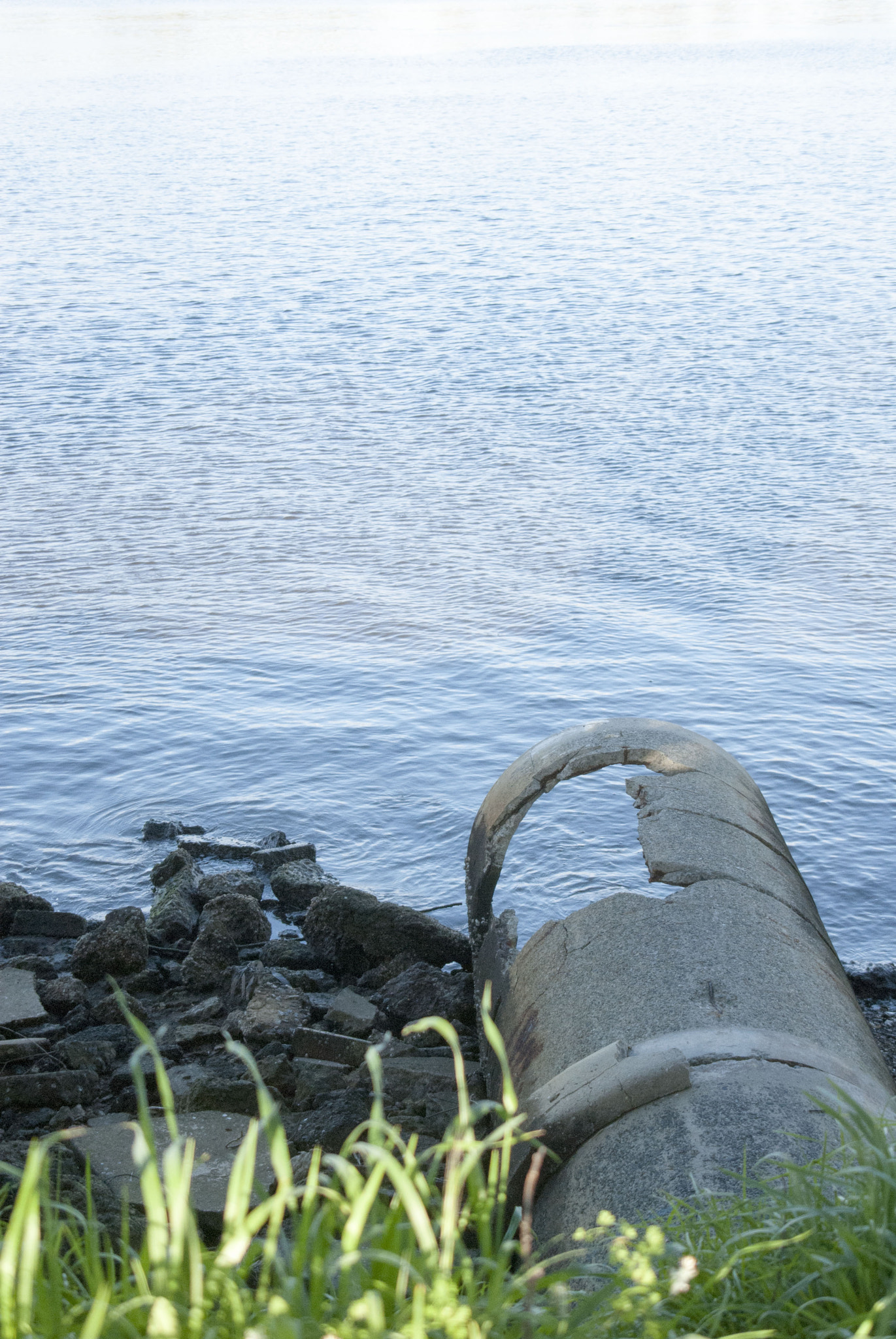 Nikon D200 sample photo. 2016-09-17 16.52.21.jpg photography