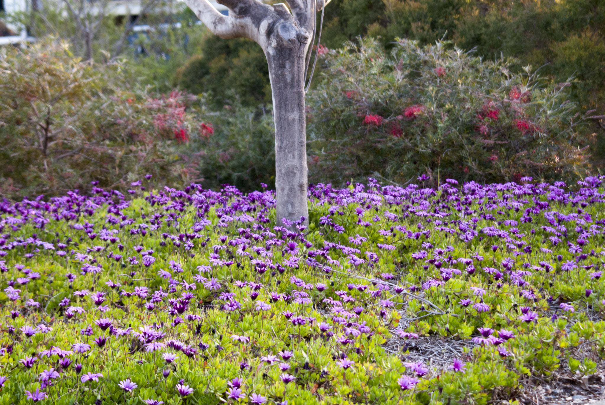 Nikon D200 sample photo. 2016-09-17 17.13.15.jpg photography