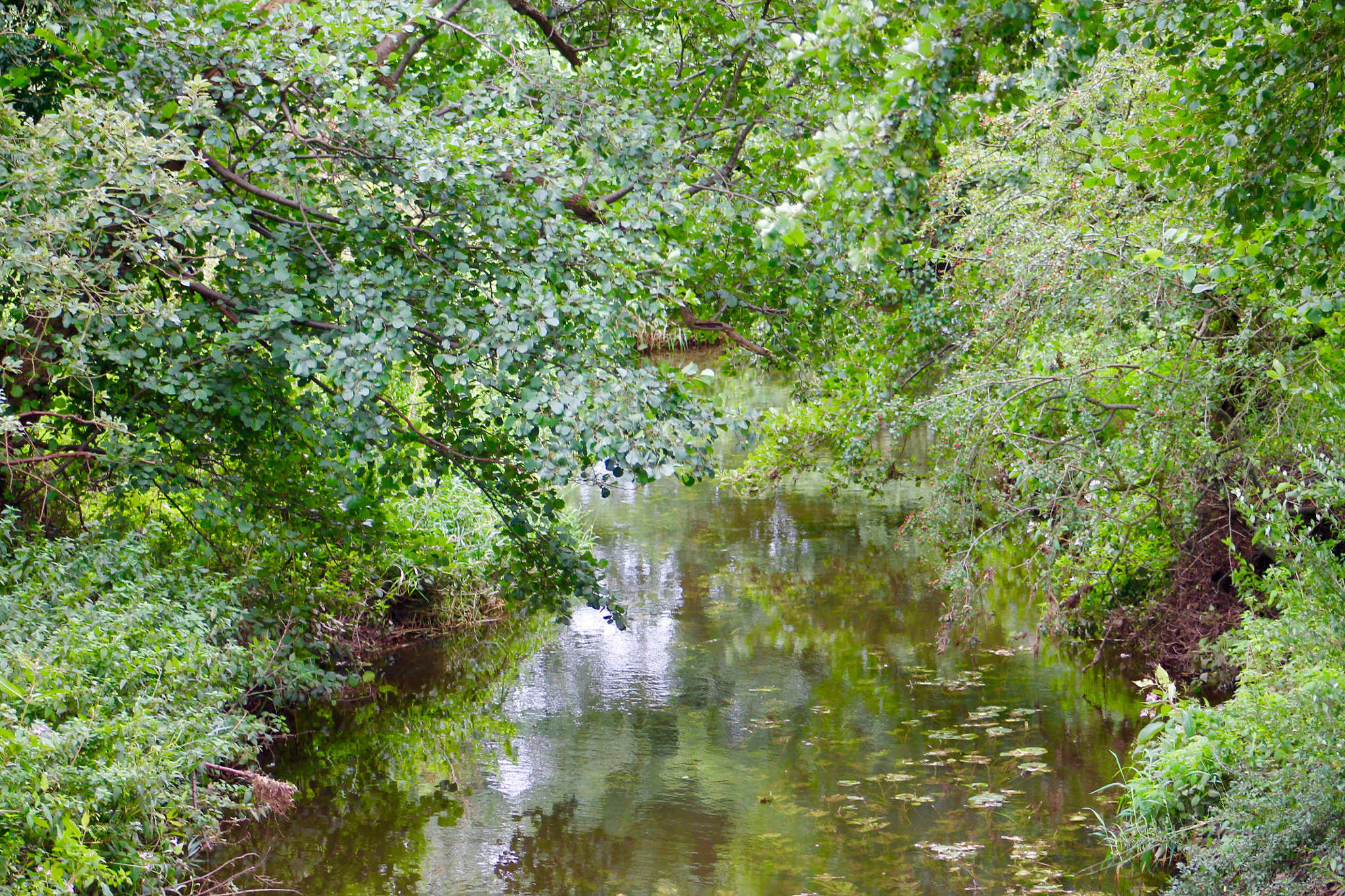 Canon EF75-300mm f/4-5.6 sample photo. River blithe gently flowing through staffordshire  ... photography