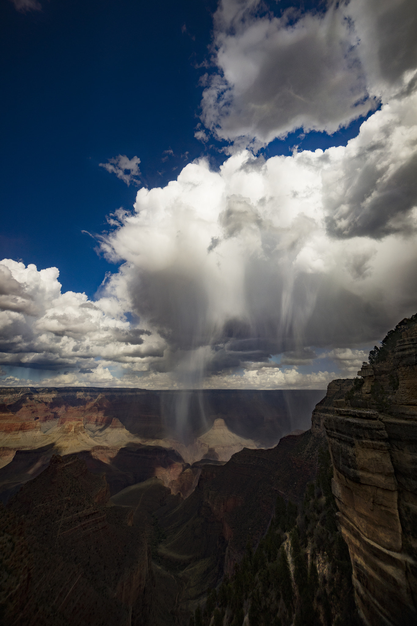 Sony a7 + Sony E 10-18mm F4 OSS sample photo. Rain in canyon photography