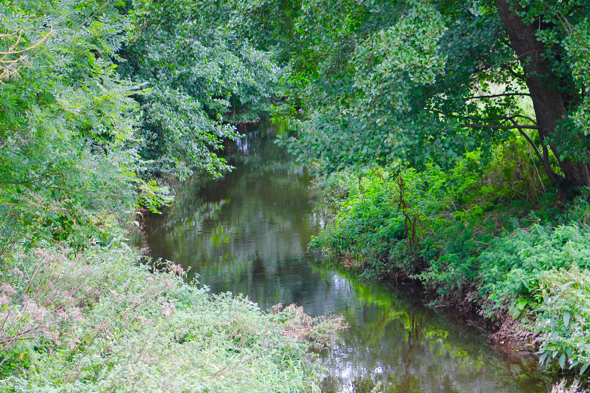 Canon EF75-300mm f/4-5.6 sample photo. Tranquil river blithe gently flowing through staffordshire photography