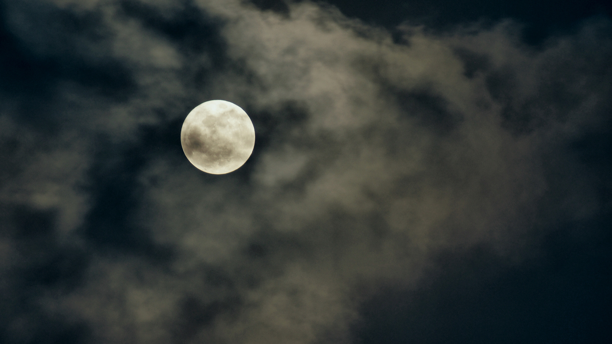 Sony 75-300mm F4.5-5.6 sample photo