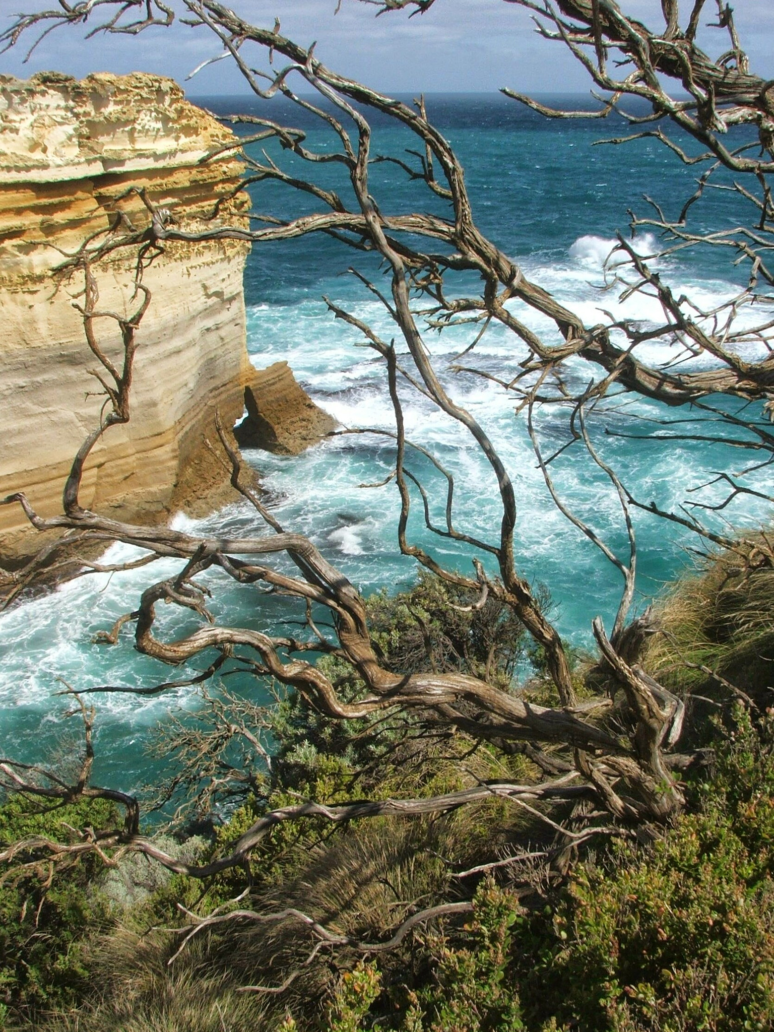 Fujifilm FinePix S5500 sample photo. Paradise - south australia photography