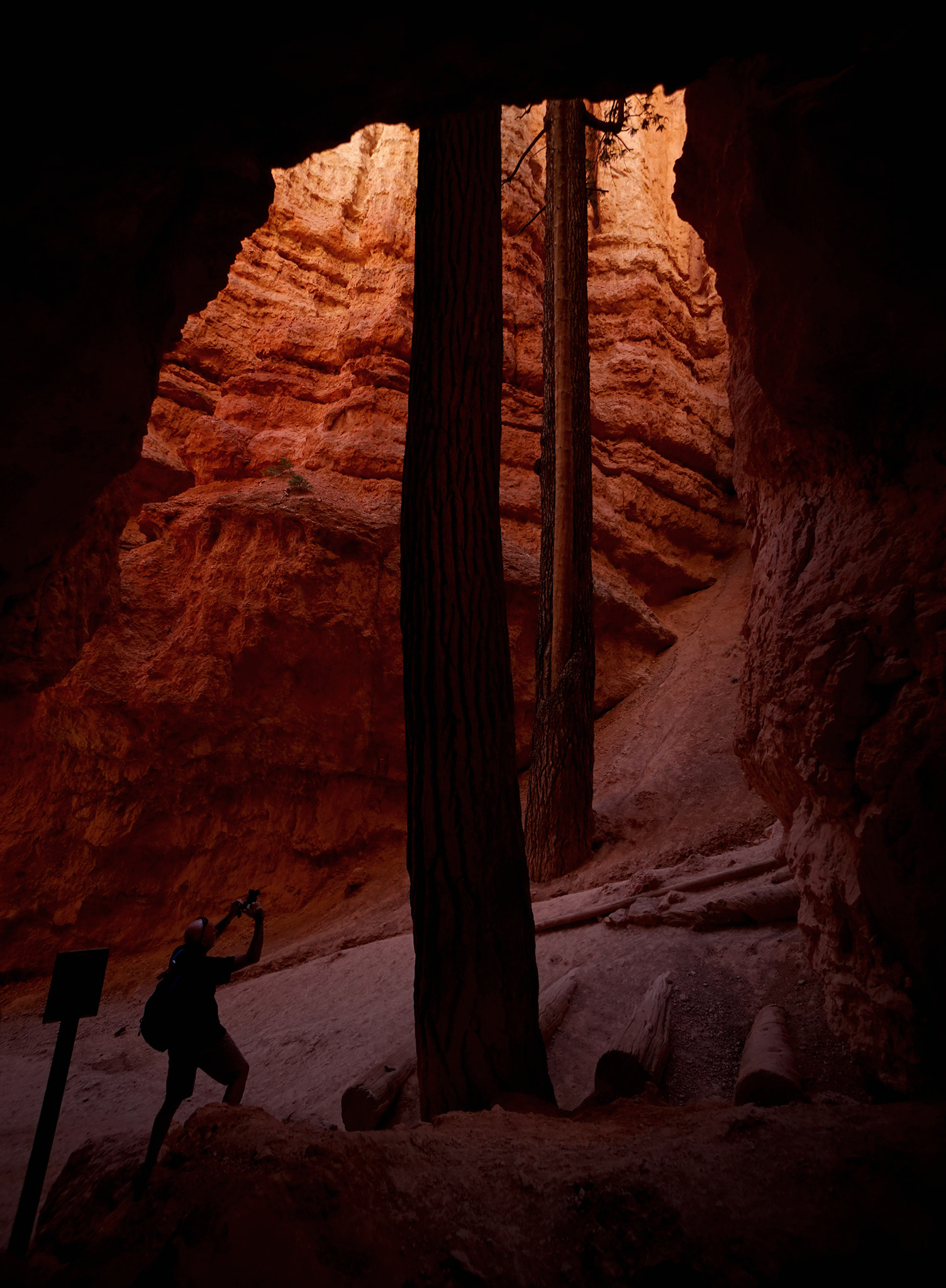 Sony a7 + Sony E 10-18mm F4 OSS sample photo. Wonder in the desert photography