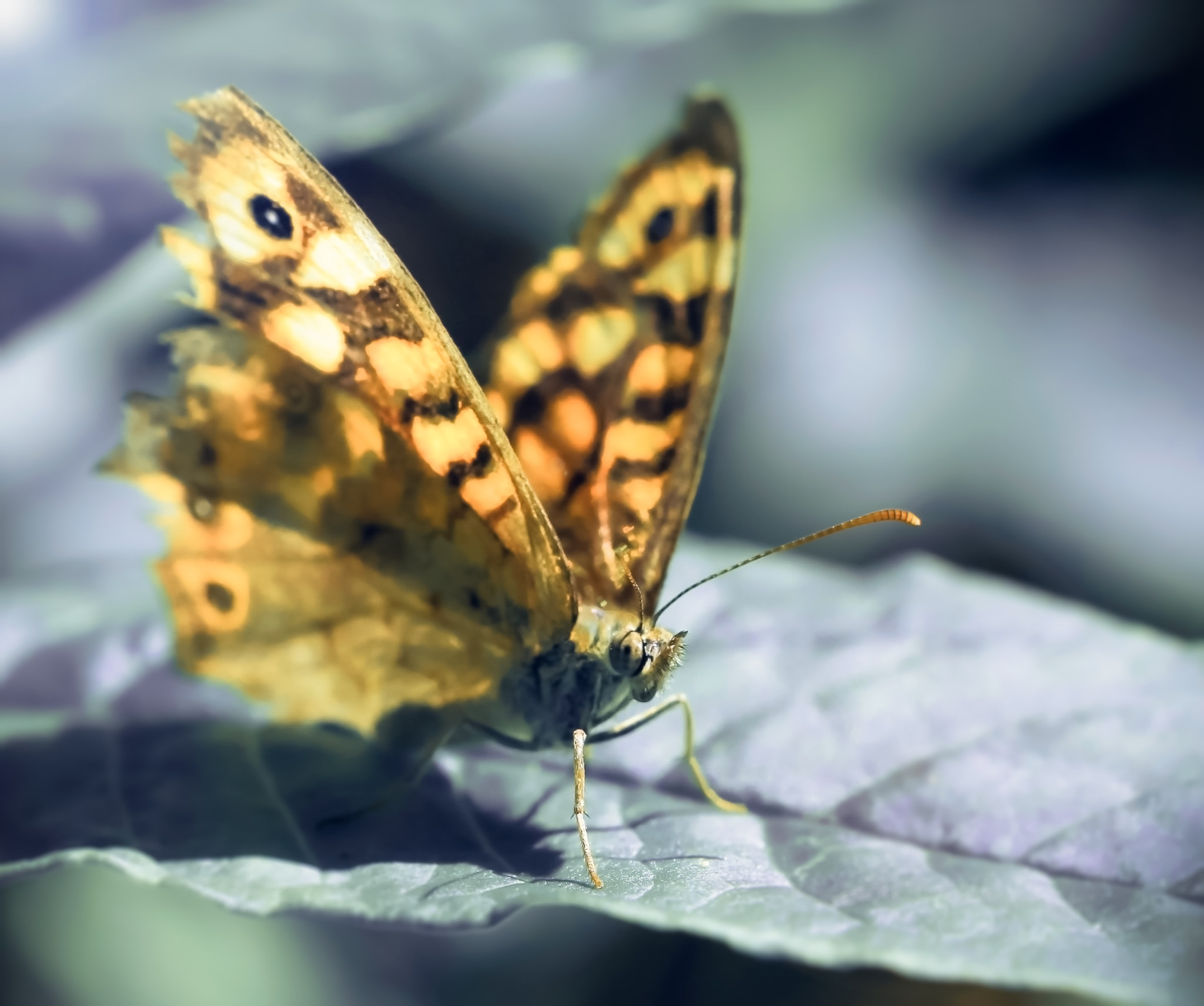 Sigma 105mm F2.8 EX DG OS HSM sample photo. Existence photography