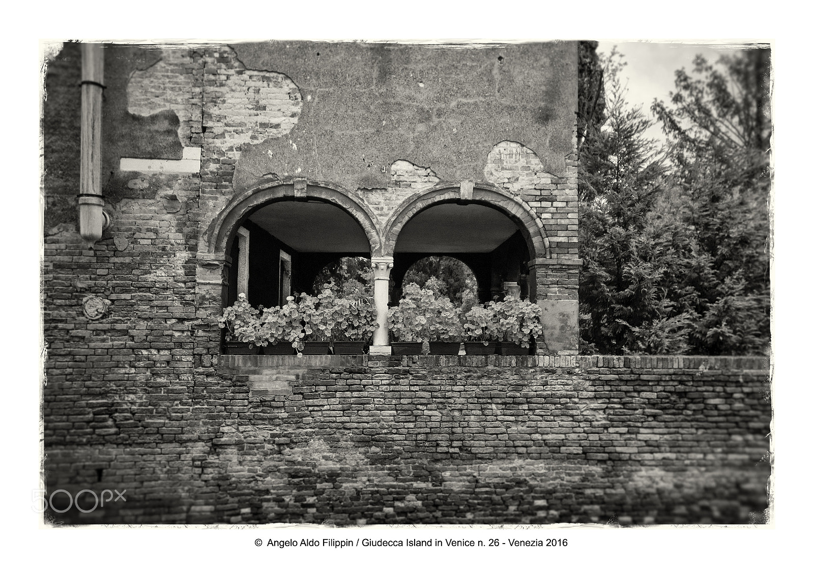 Sigma 15-30mm f/3.5-4.5 EX DG Aspherical sample photo. Giudecca island in venice 2016 n.26 photography