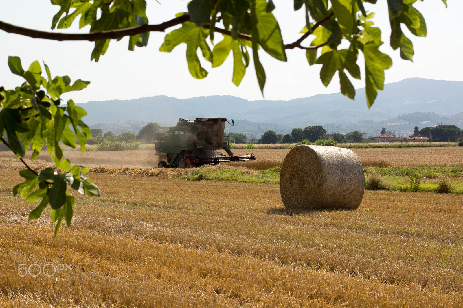 Sigma AF 28-70mm F2.8 sample photo. Harvester photography