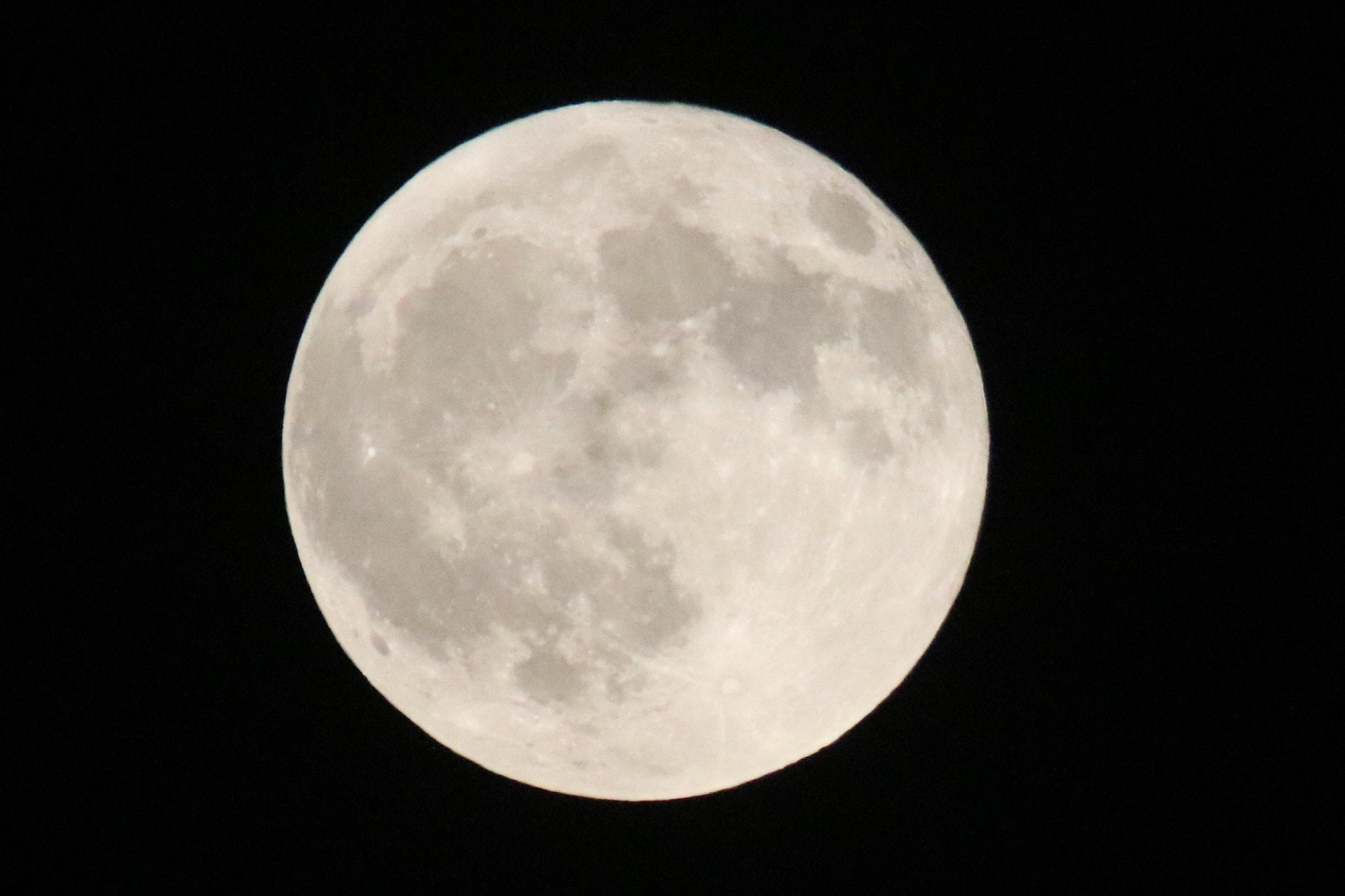 Canon EOS 760D (EOS Rebel T6s / EOS 8000D) sample photo. The bright harvest moon last night over georgia. having fun with my camera and nature. photography