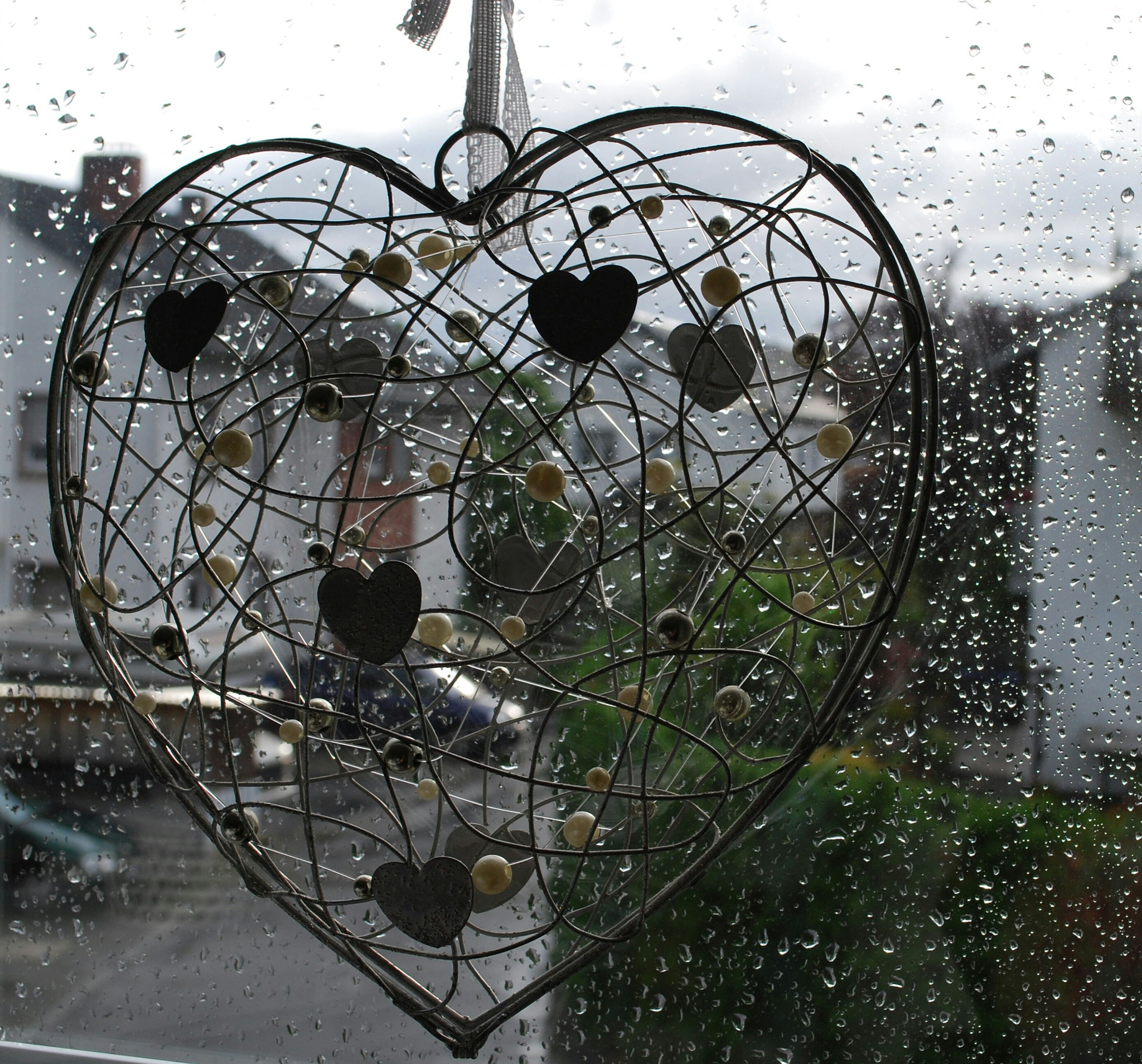 Nikon D40X sample photo. Rain photography