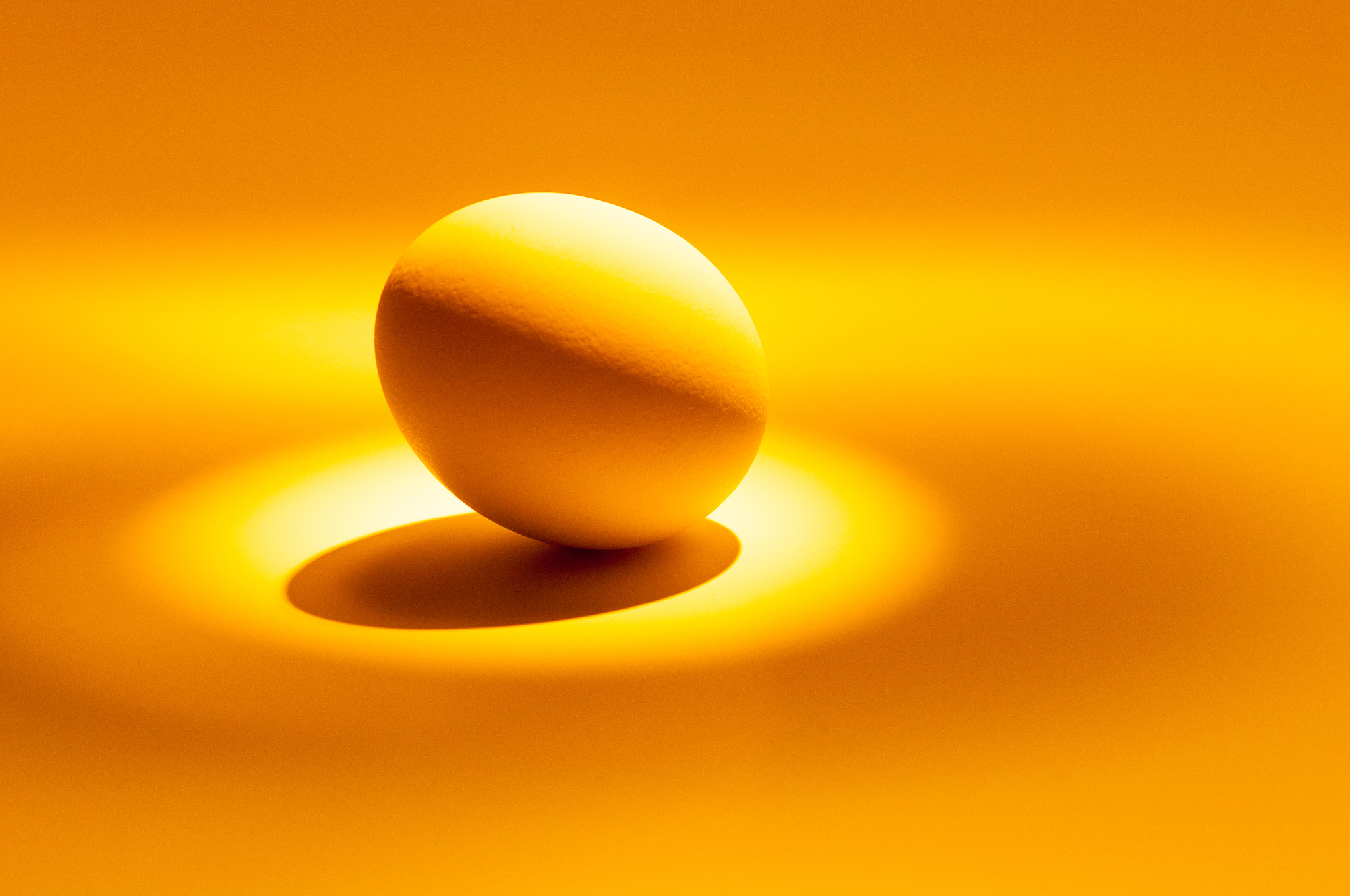 Nikon D5000 sample photo. The other humble egg photography