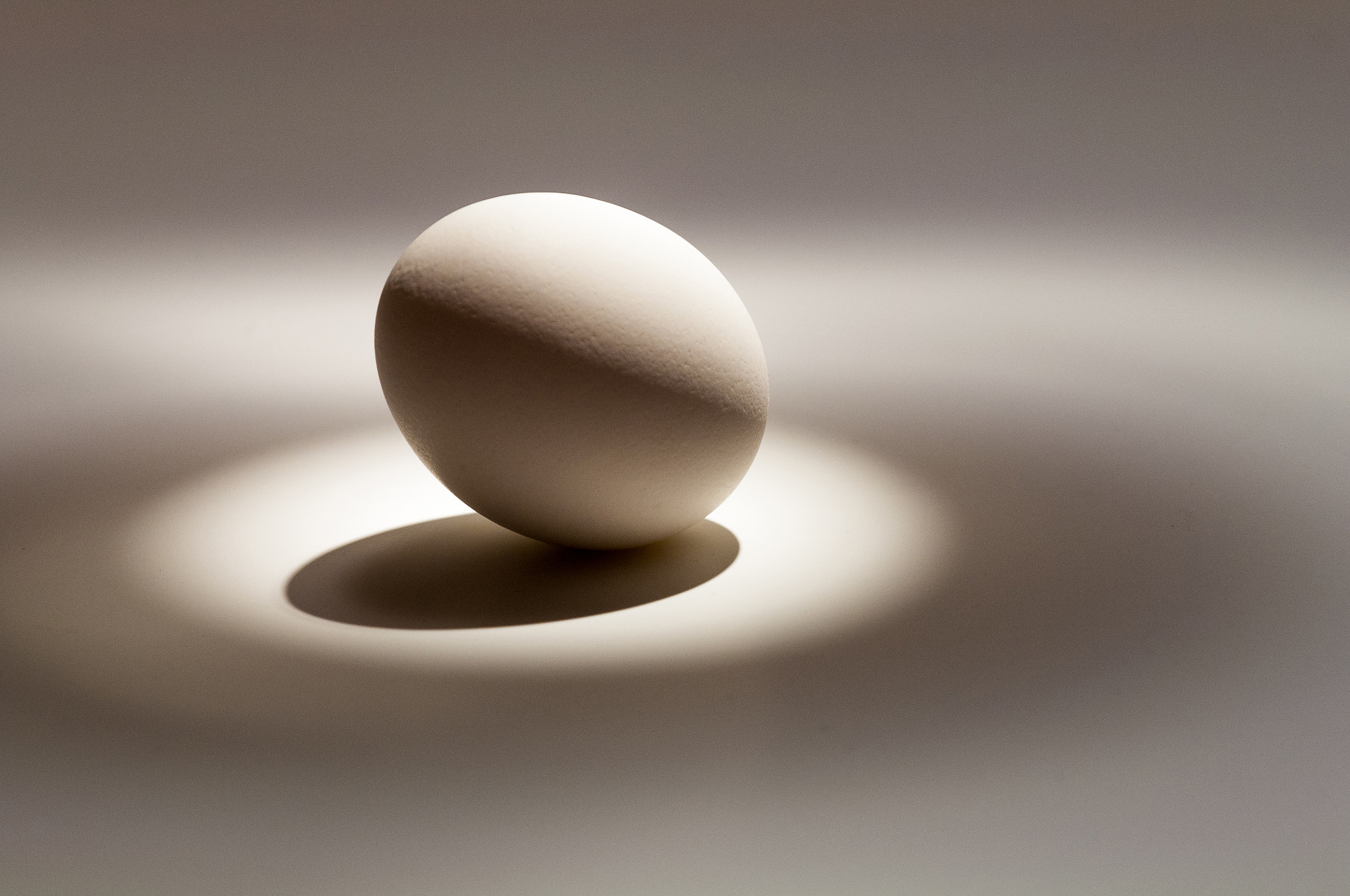 Nikon D5000 sample photo. The other humble egg photography