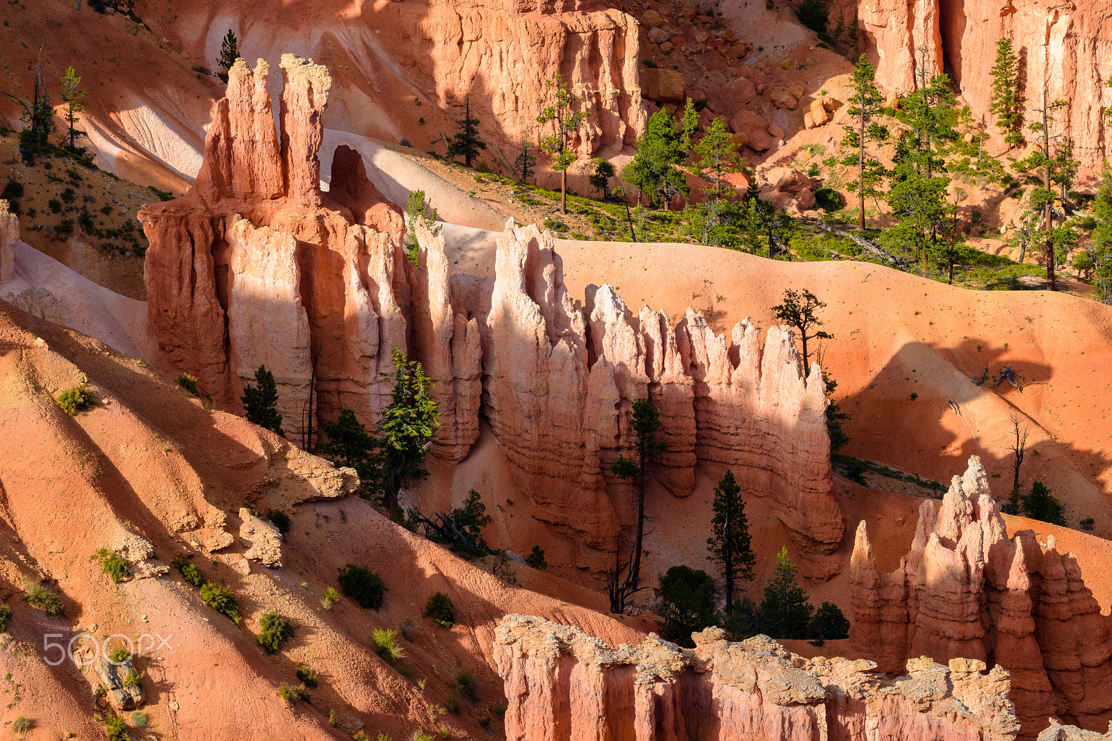 Nikon AF-S Nikkor 70-200mm F4G ED VR sample photo. Bryce canyon photography