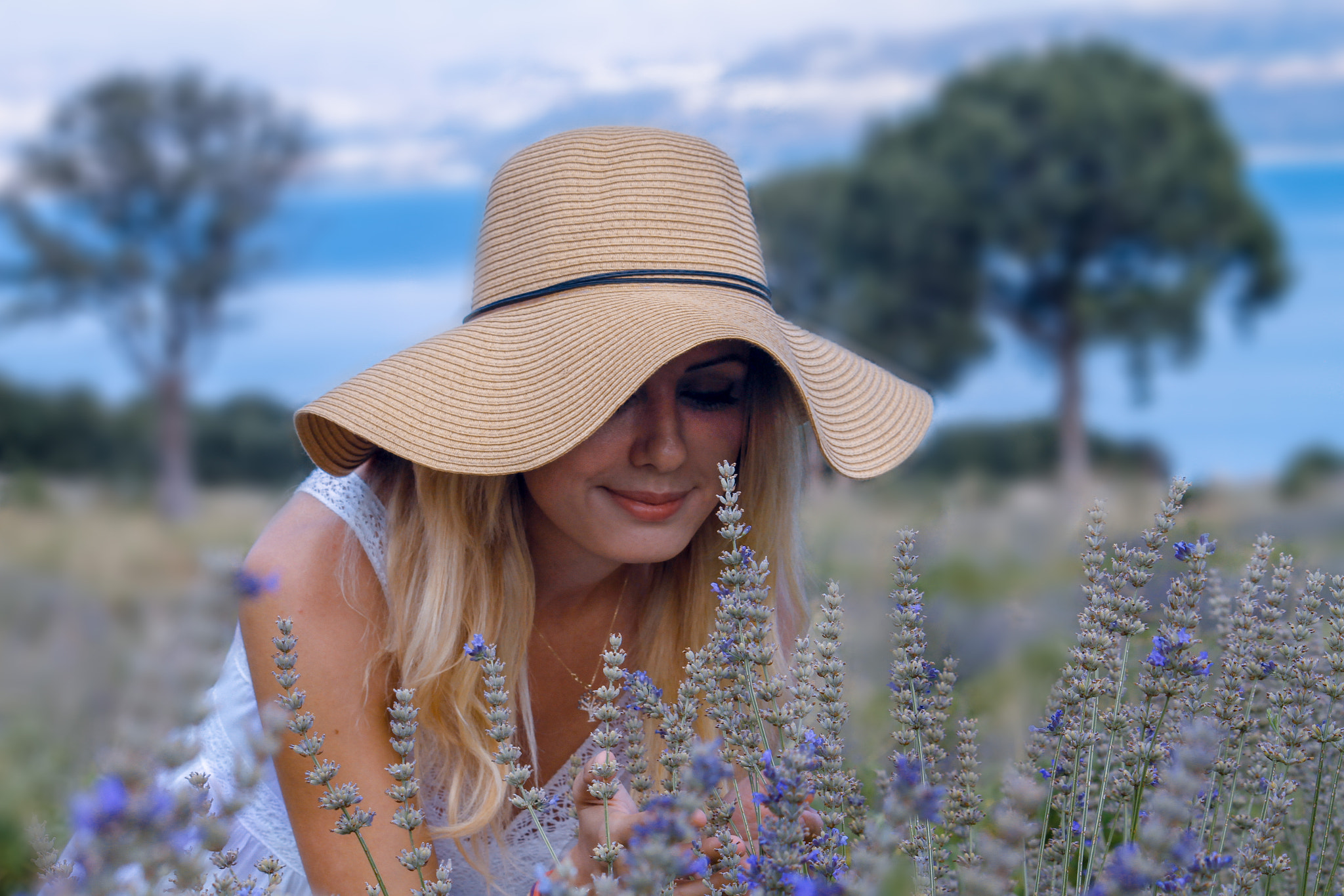 Sigma 70-300mm F4-5.6 APO DG Macro sample photo. Lavender photography
