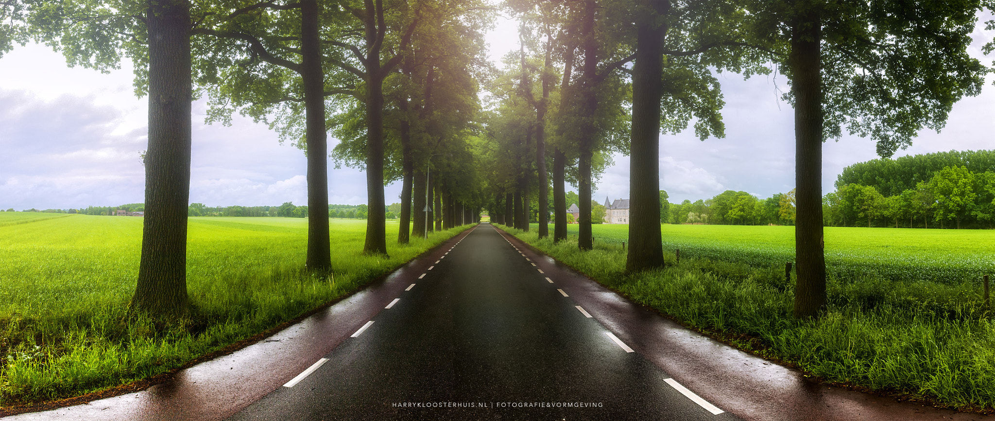 Nikon D80 sample photo. Some where near klimmen photography